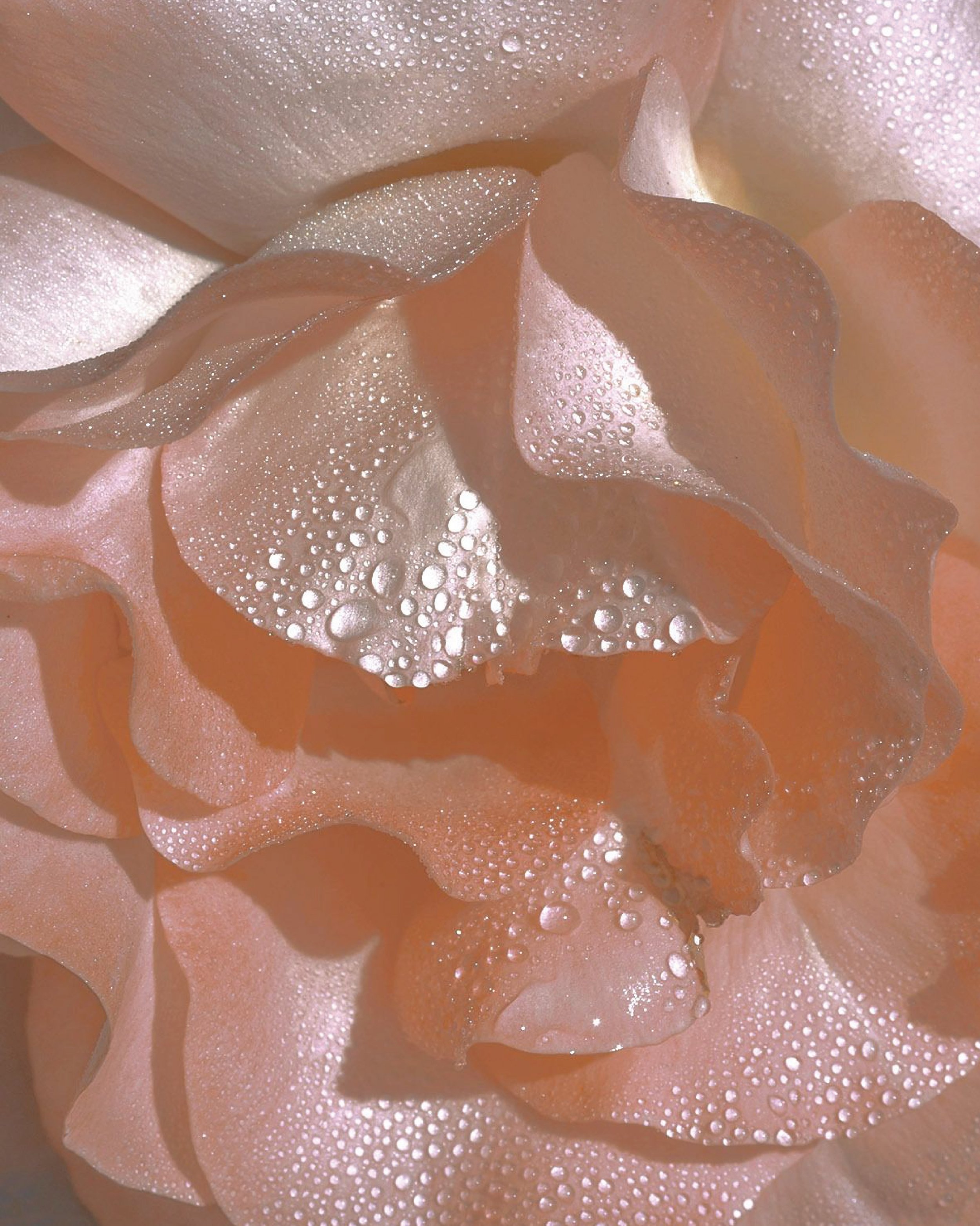 instagram images-05.jpg