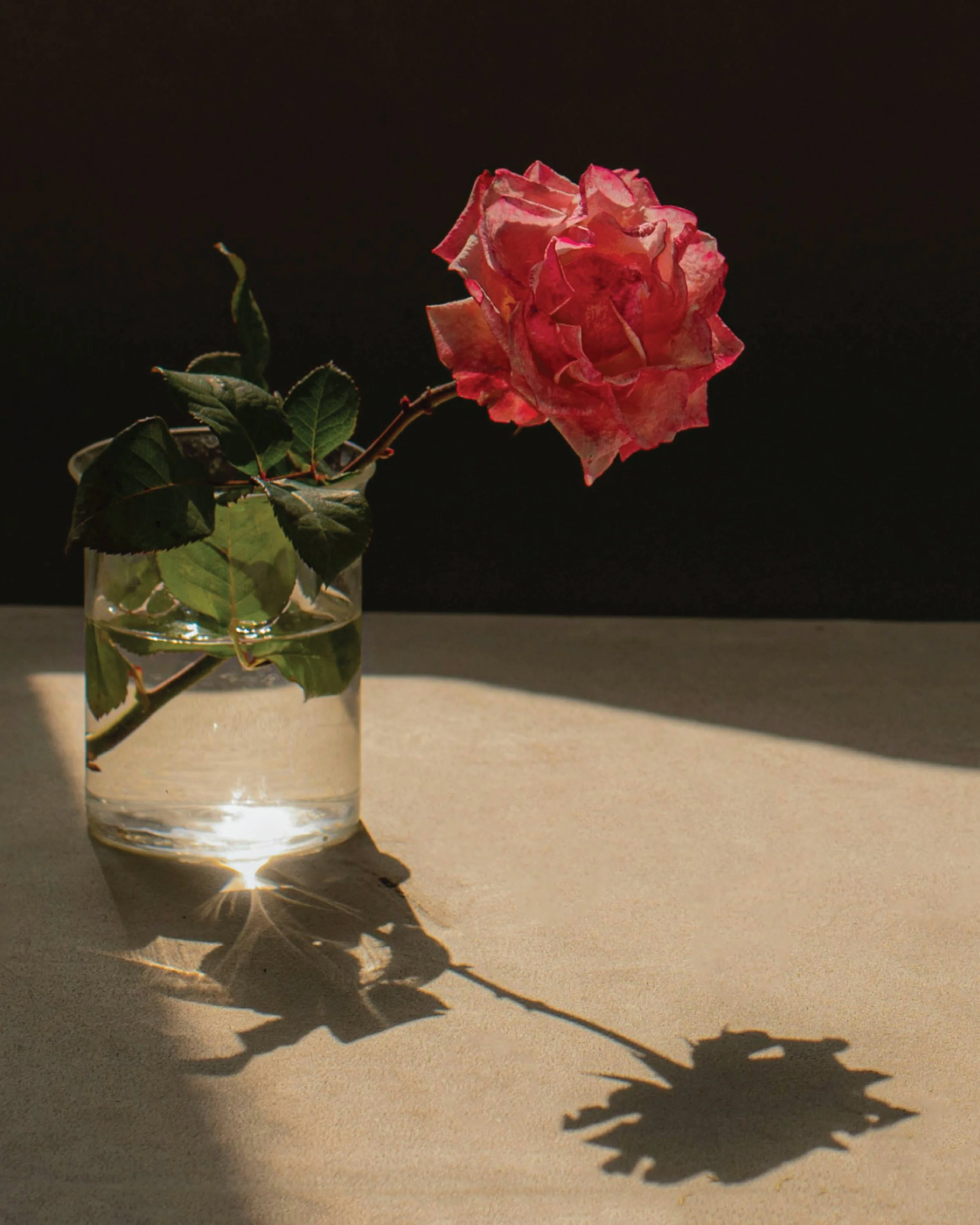 instagram images-08.jpg