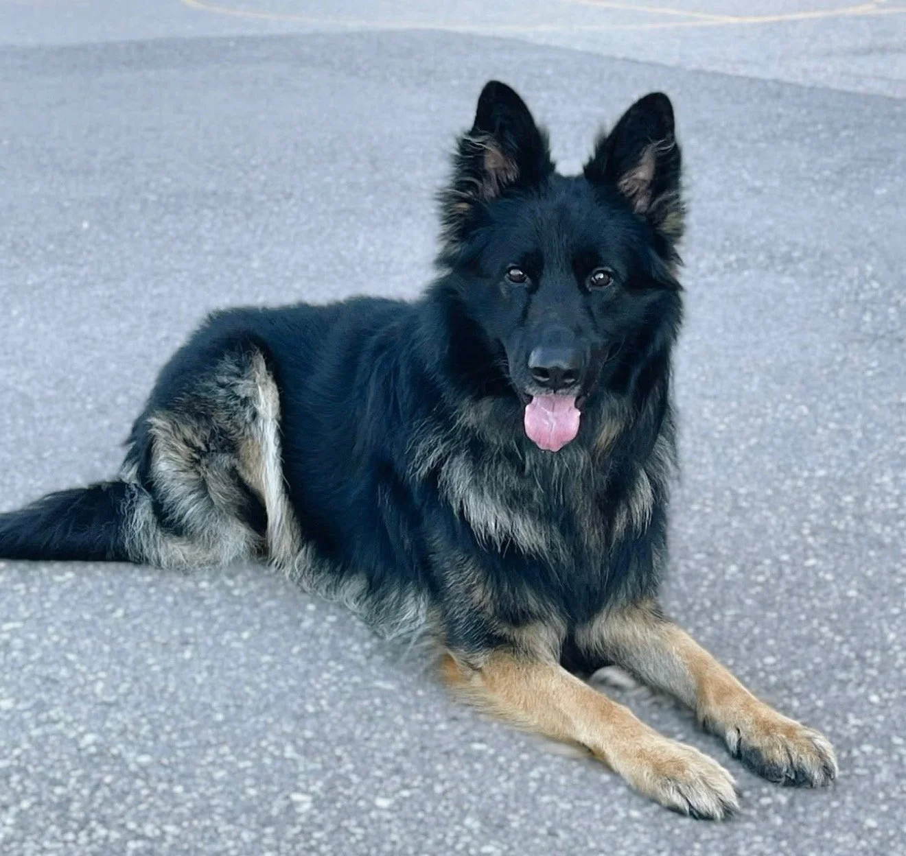 T'Challa vom Sea Knight