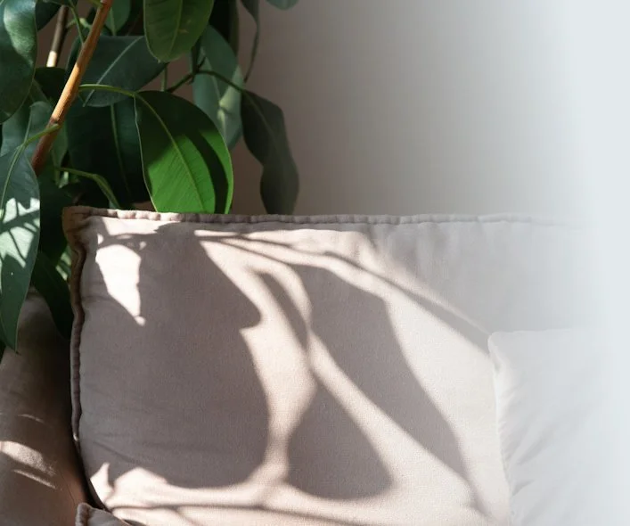 A beige pillow on a couch with sunlight casting shadows of plant leaves on it, with a green leafy plant in the background.