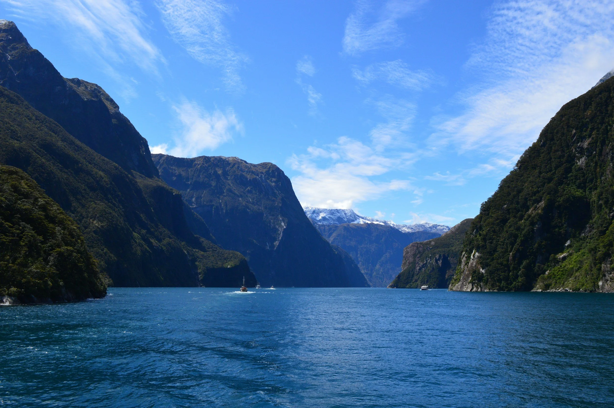 The majestic, misty peaks of the New Zealand fjords, showcasing the rare landscapes featured on the January 2027 Oceania guided voyage.