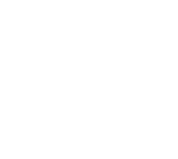 Přemysl Luljak svatebni fotografie