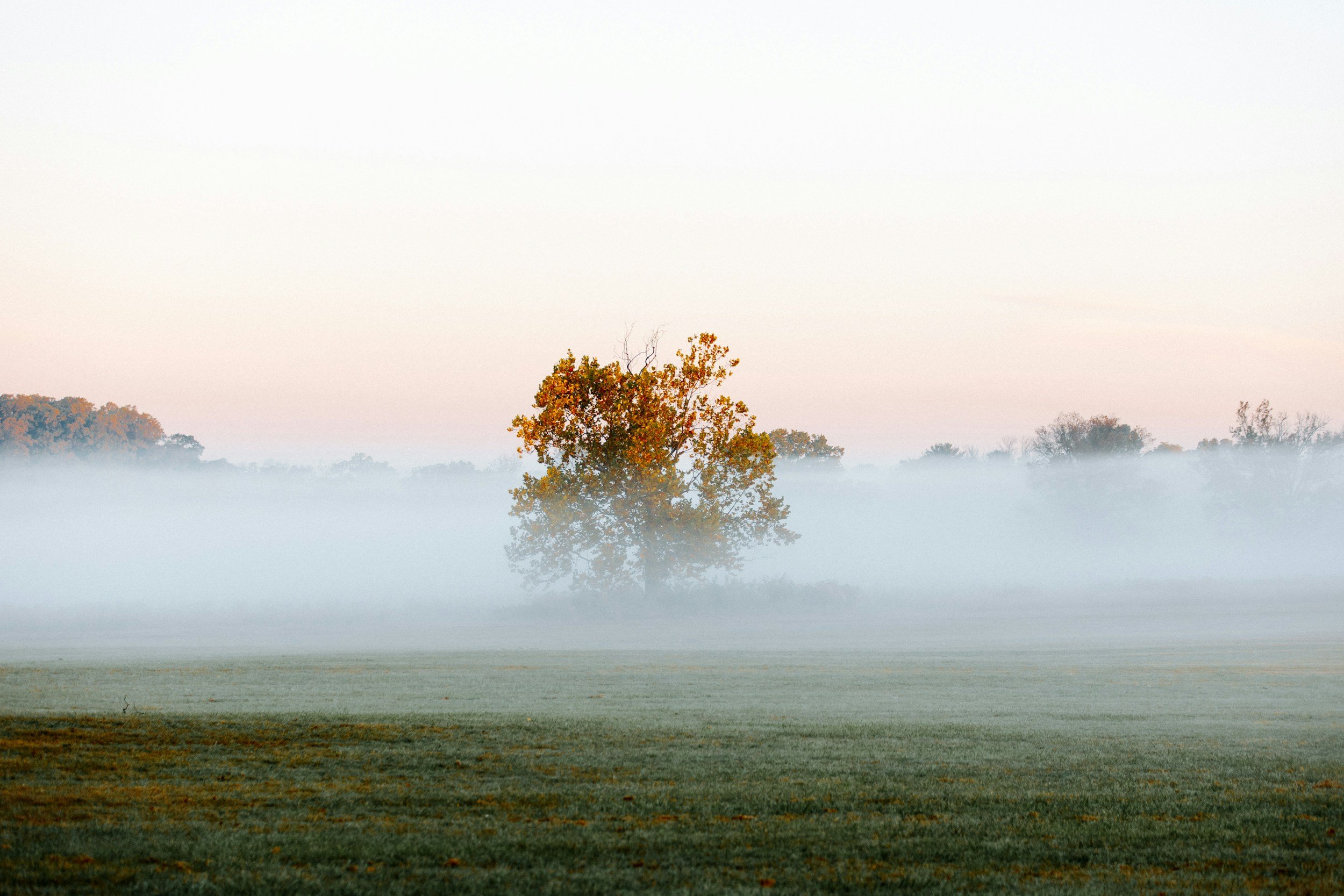 When Anxiety Lives in the Body