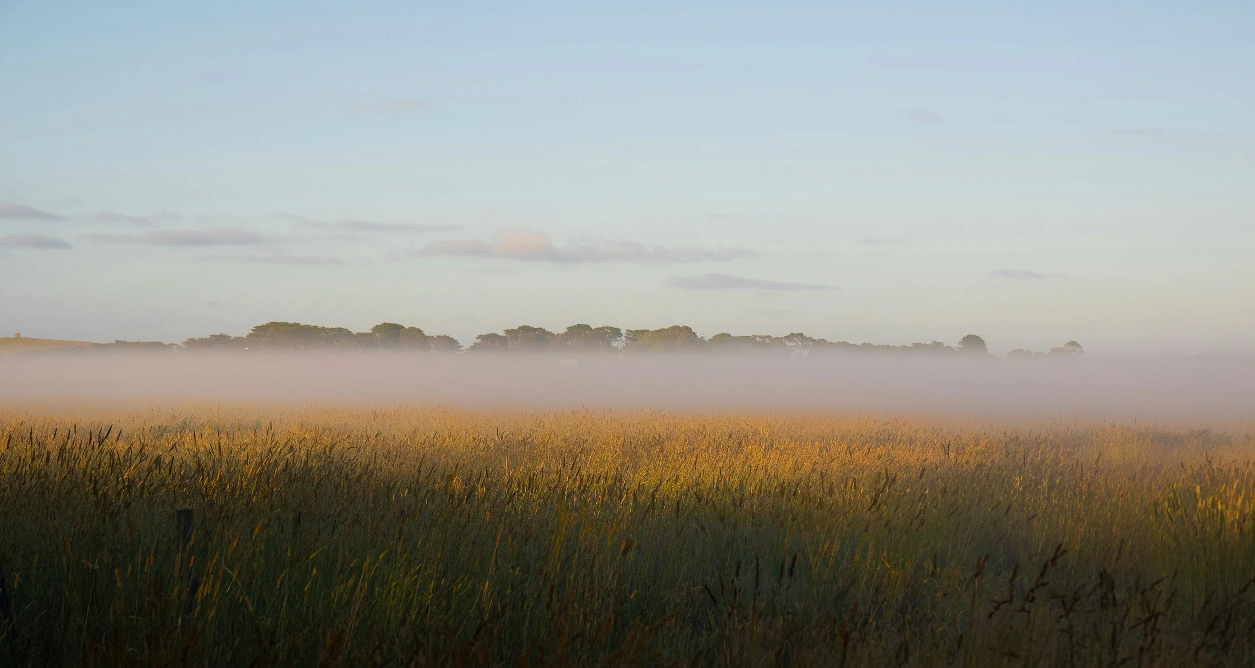 The Habit of Overthinking