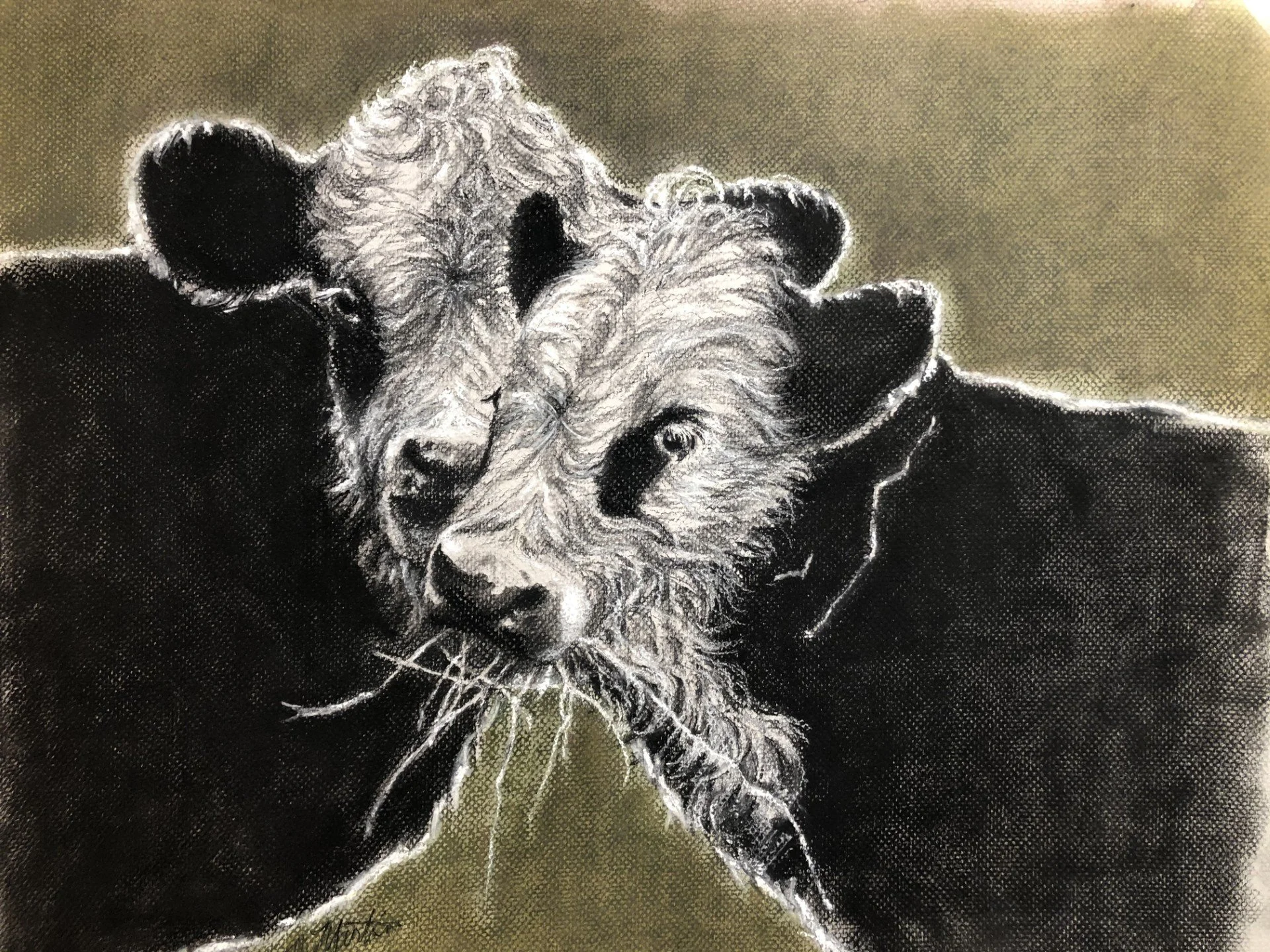 Black and white drawing of a baby lion with a smaller lion cub on its back.