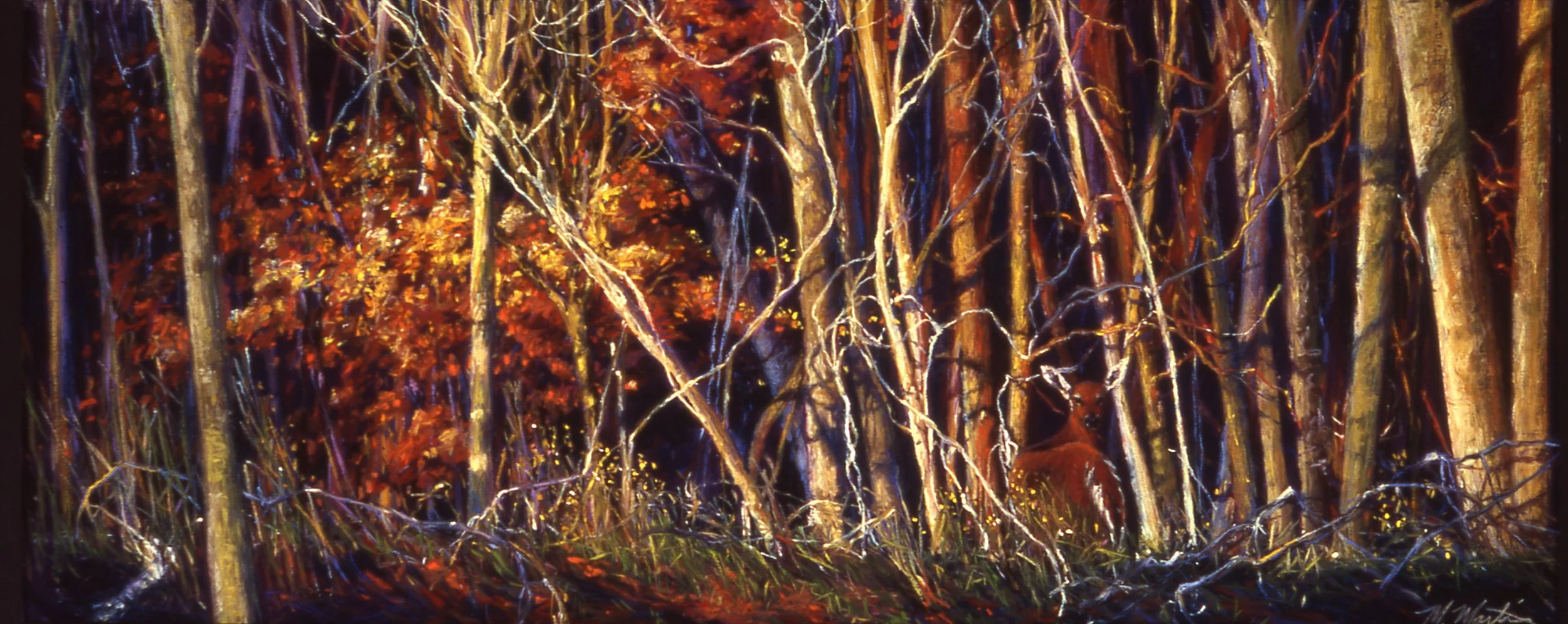 A nighttime scene in a forest with illuminated trees and fallen branches.