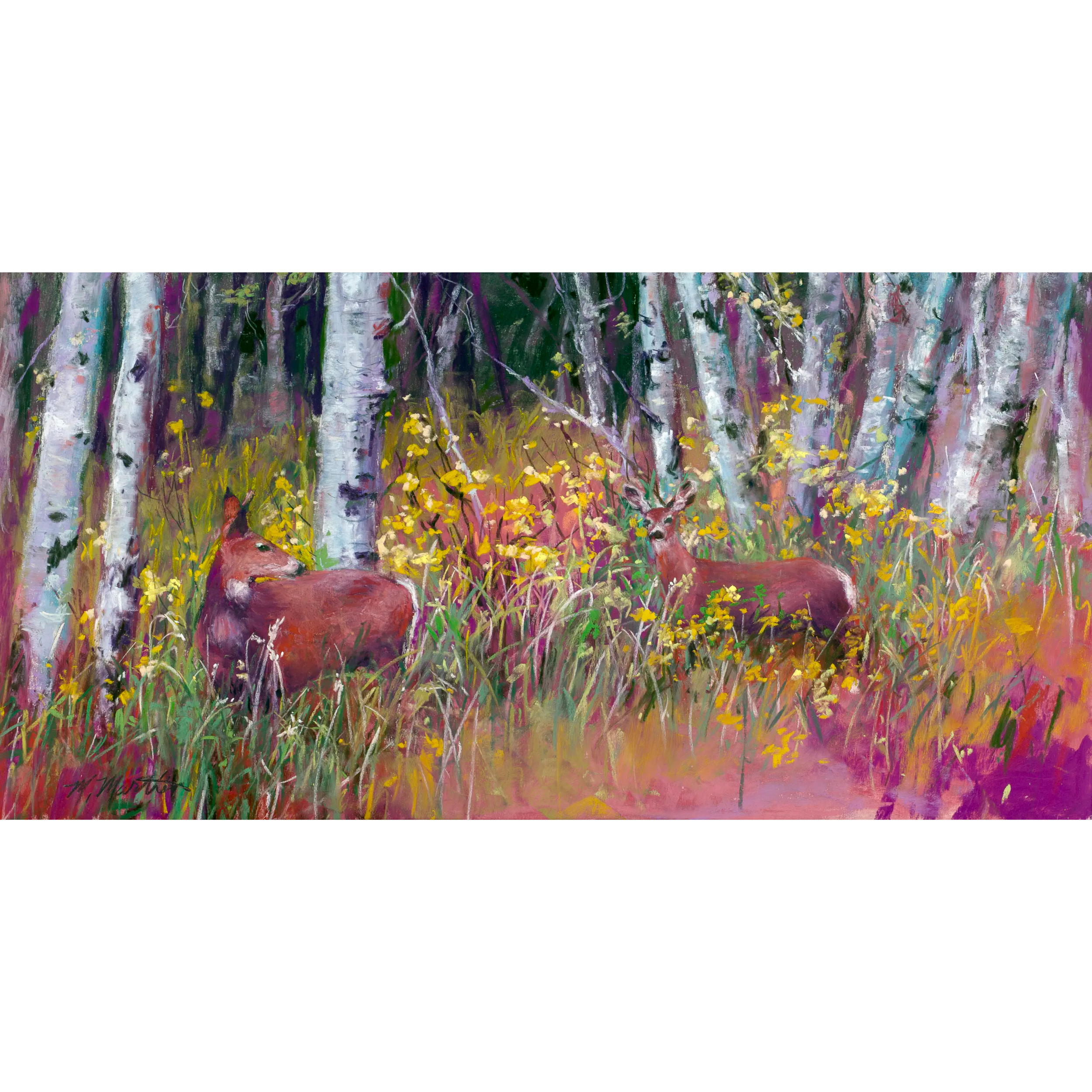 Bridger Tetons Mule Deer