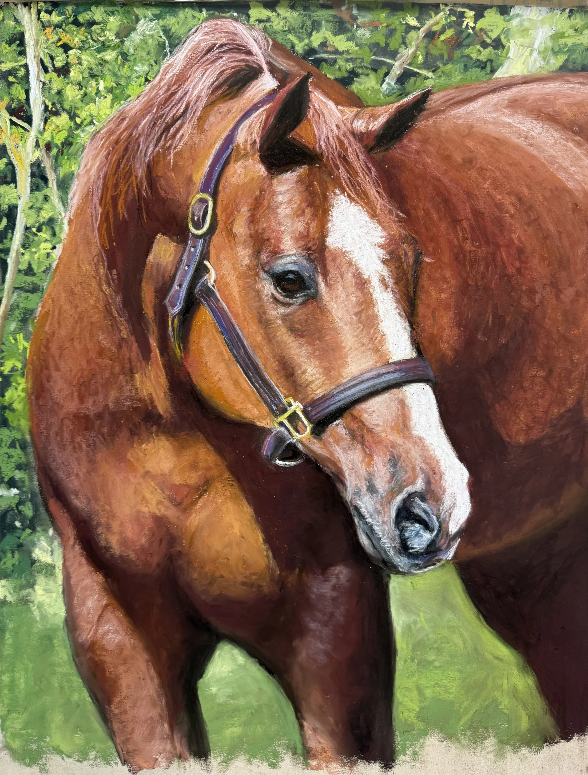 A painting of a brown horse with a white blaze on its face, standing in a green grassy area with trees in the background.