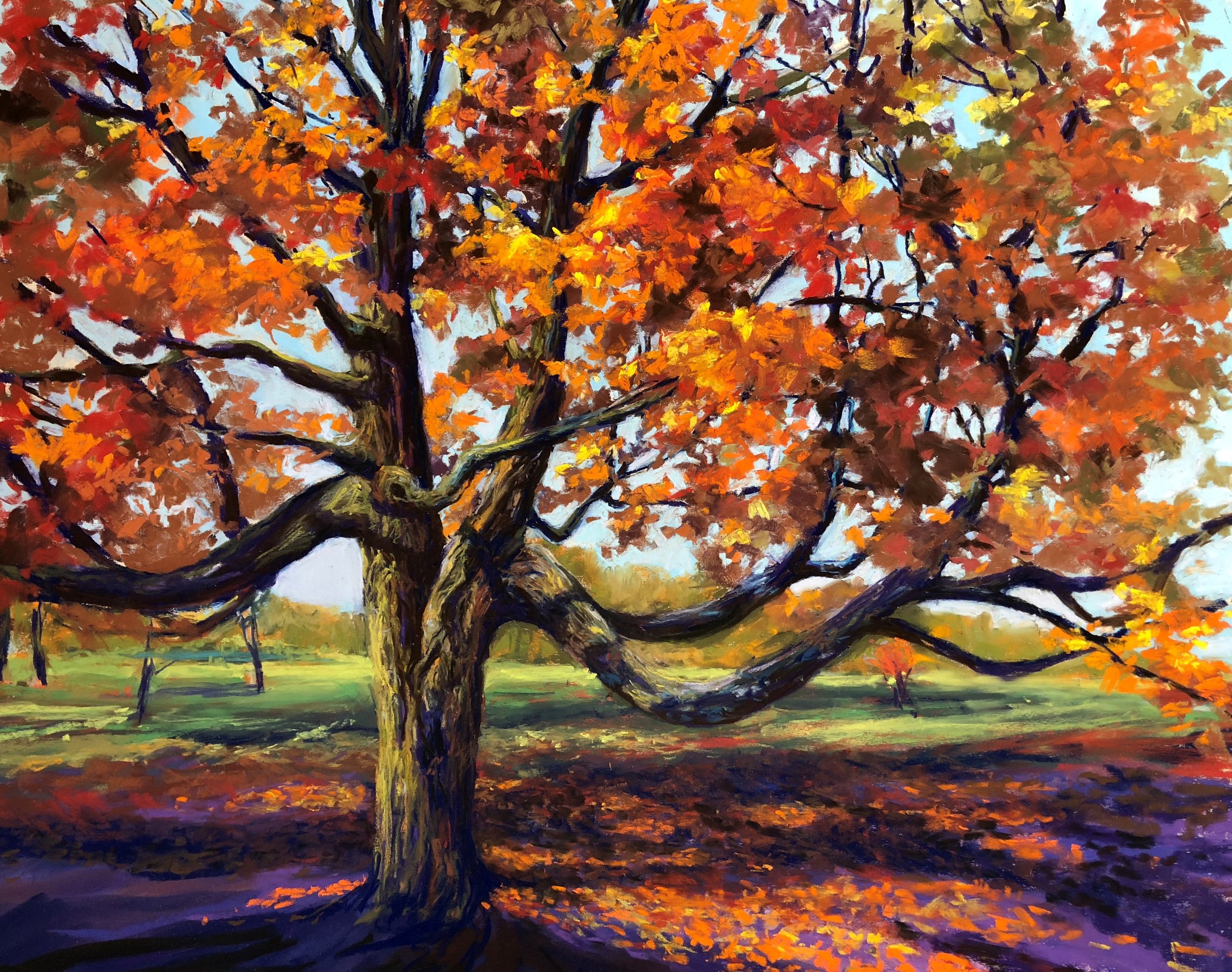 A vibrant painting of a large, twisting tree with orange and red autumn leaves in a park. The tree has thick, dark branches and a sturdy trunk, with a grassy field and a few distant trees in the background under a clear sky.