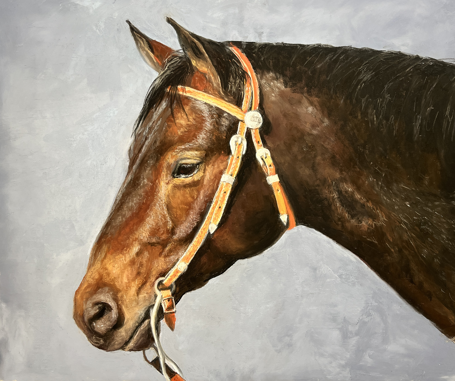 Painting of a brown horse with a black mane wearing an orange and white bridle against a light-colored background.