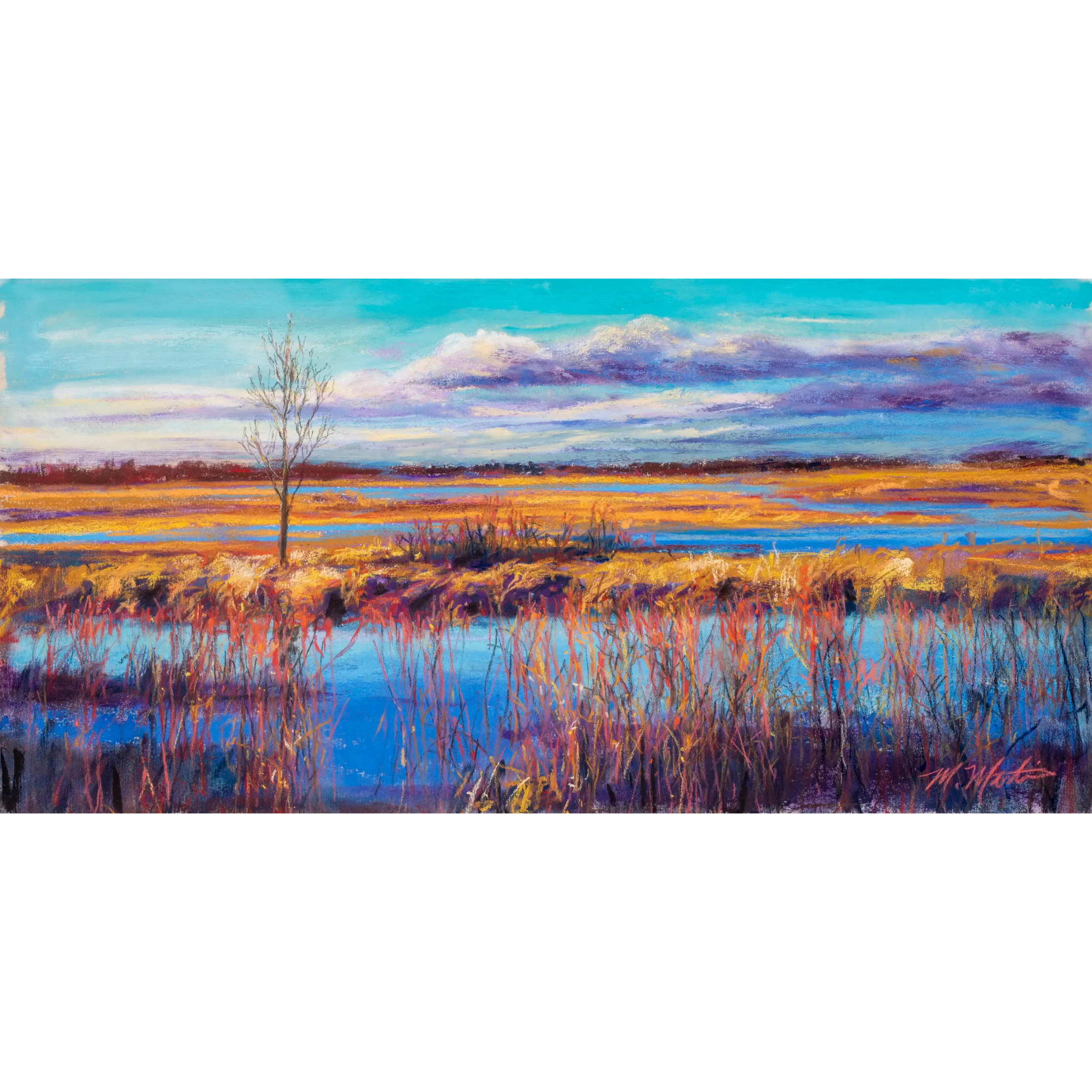Wildlife Area at Delaware