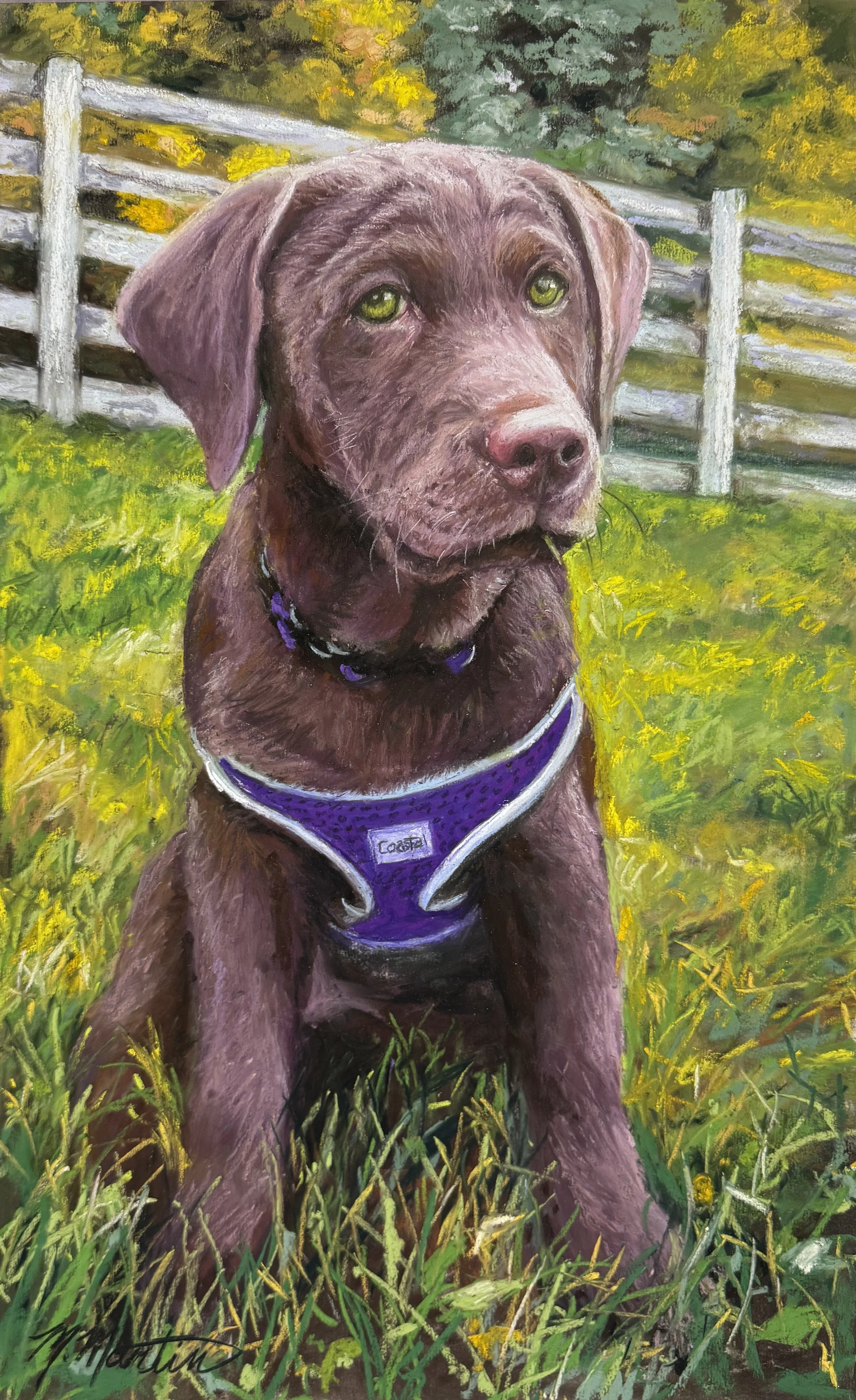 A painting of a brown puppy sitting in a grassy yard, wearing a purple harness, with a white fence and trees in the background.