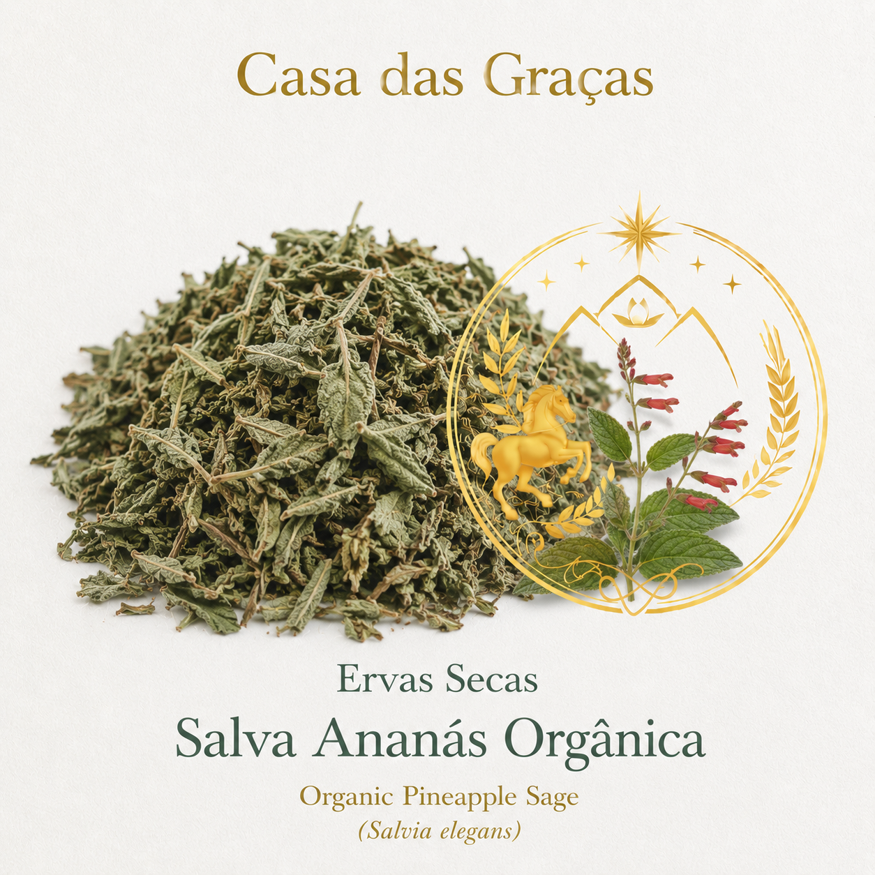 Phyto Herb No.15 · Organic Pineapple Sage