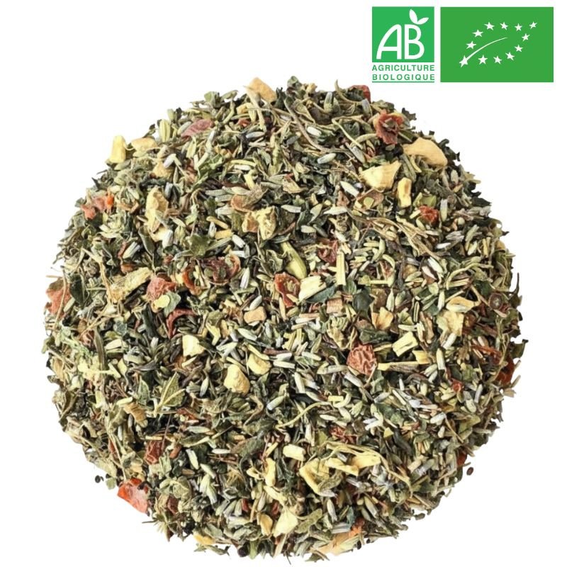 Phyto Blend No.4 · Detox Eternal Youth