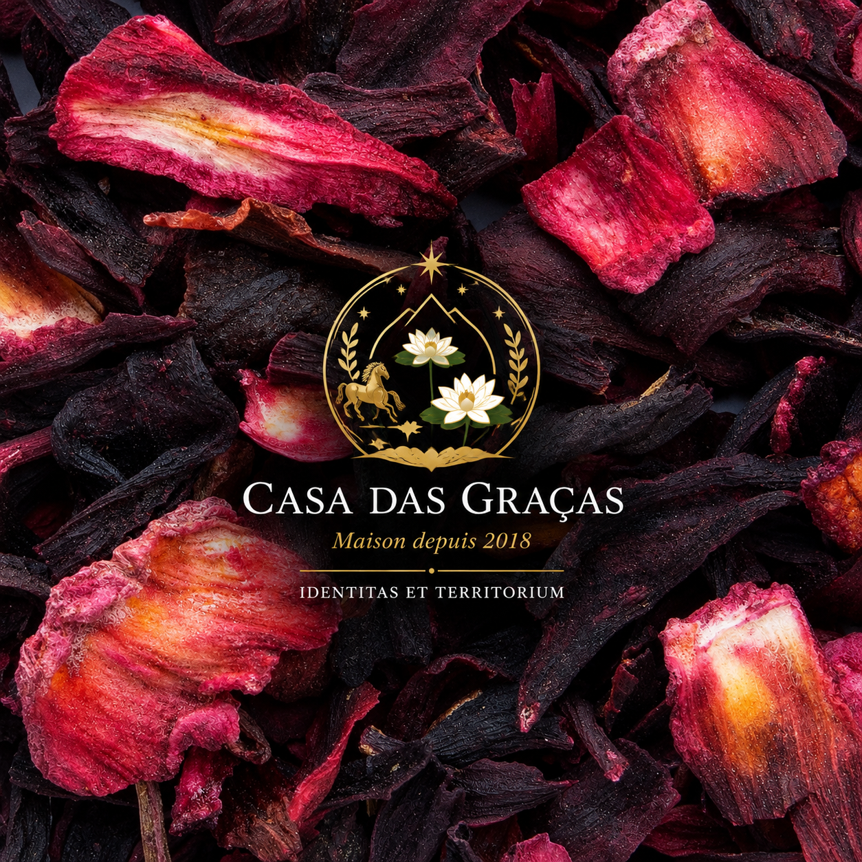 CASA DAS GRAÇAS _ CHA HIBISCO ORGANICO_2.png
