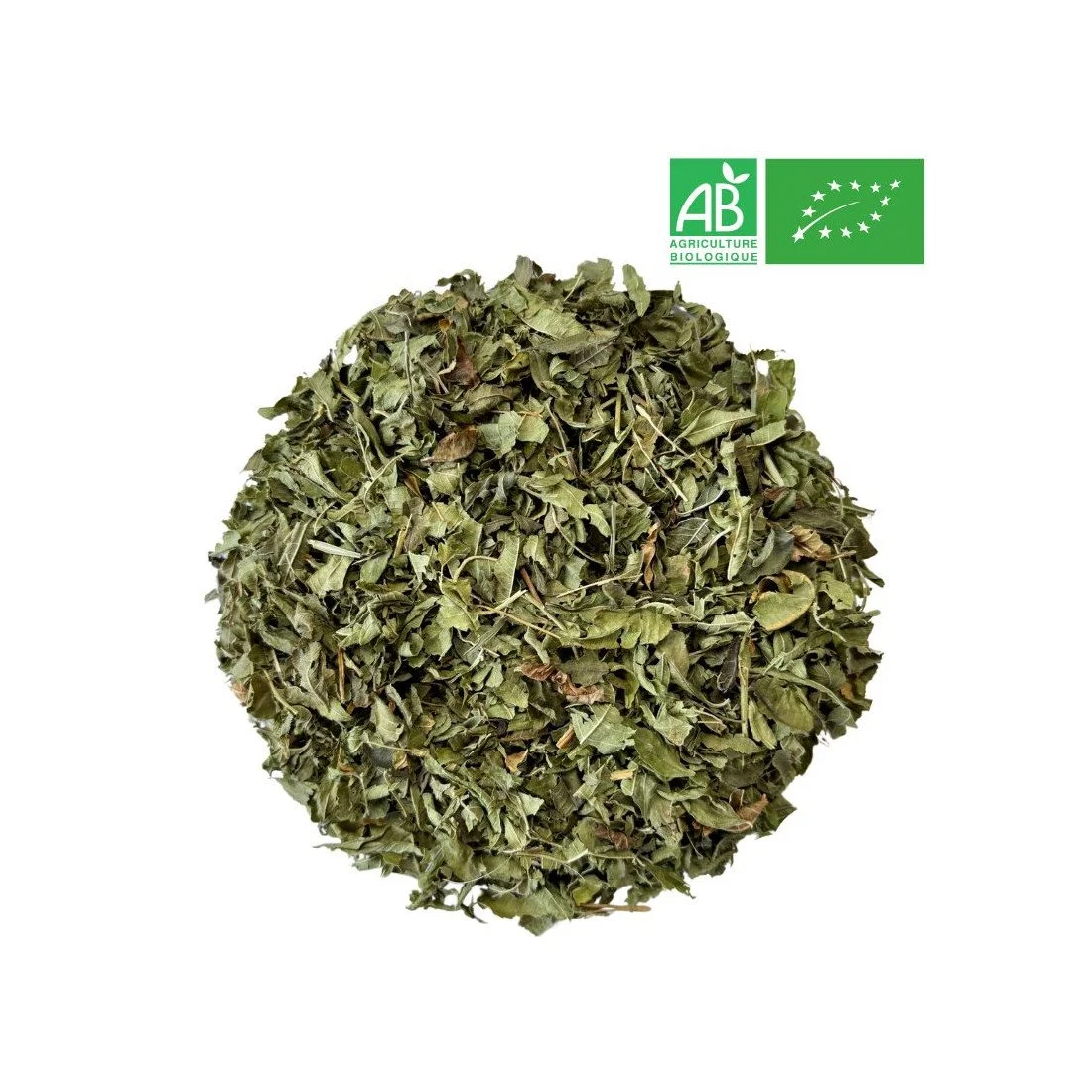 Phyto Herb No.10 · Organic Verbena Cut Leaf