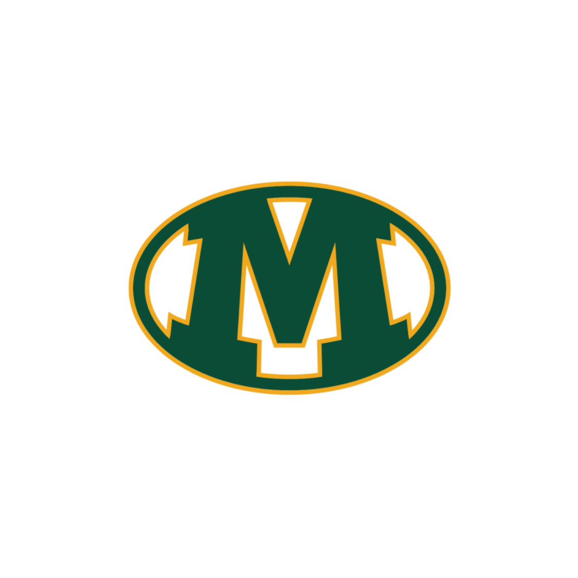 ACT Prep - Advantage Series •  Medina High School  •  June 8-9, 2026  •  9am-12pm