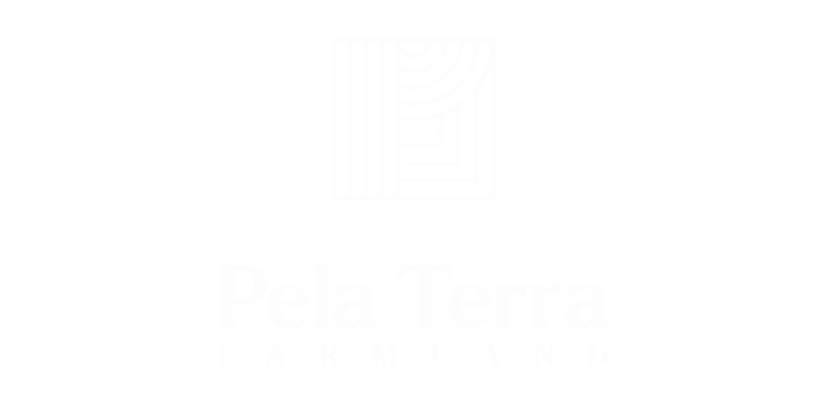 Pela Terra