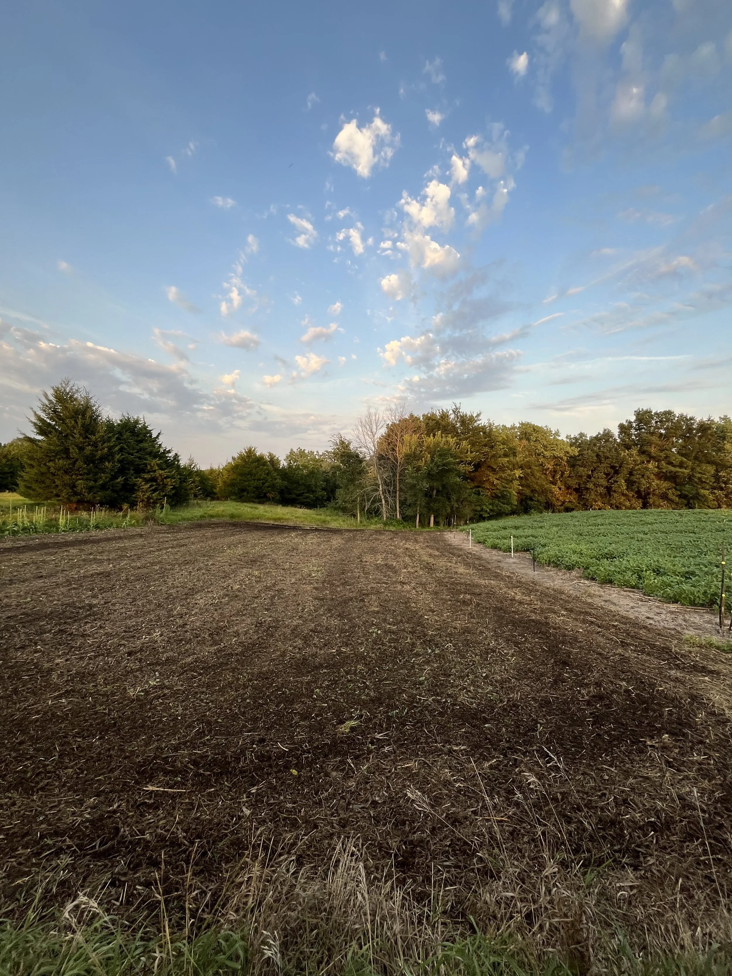 A farm with a clear blue sky, scattered clouds, green trees, and a section of tilled dark soil field.