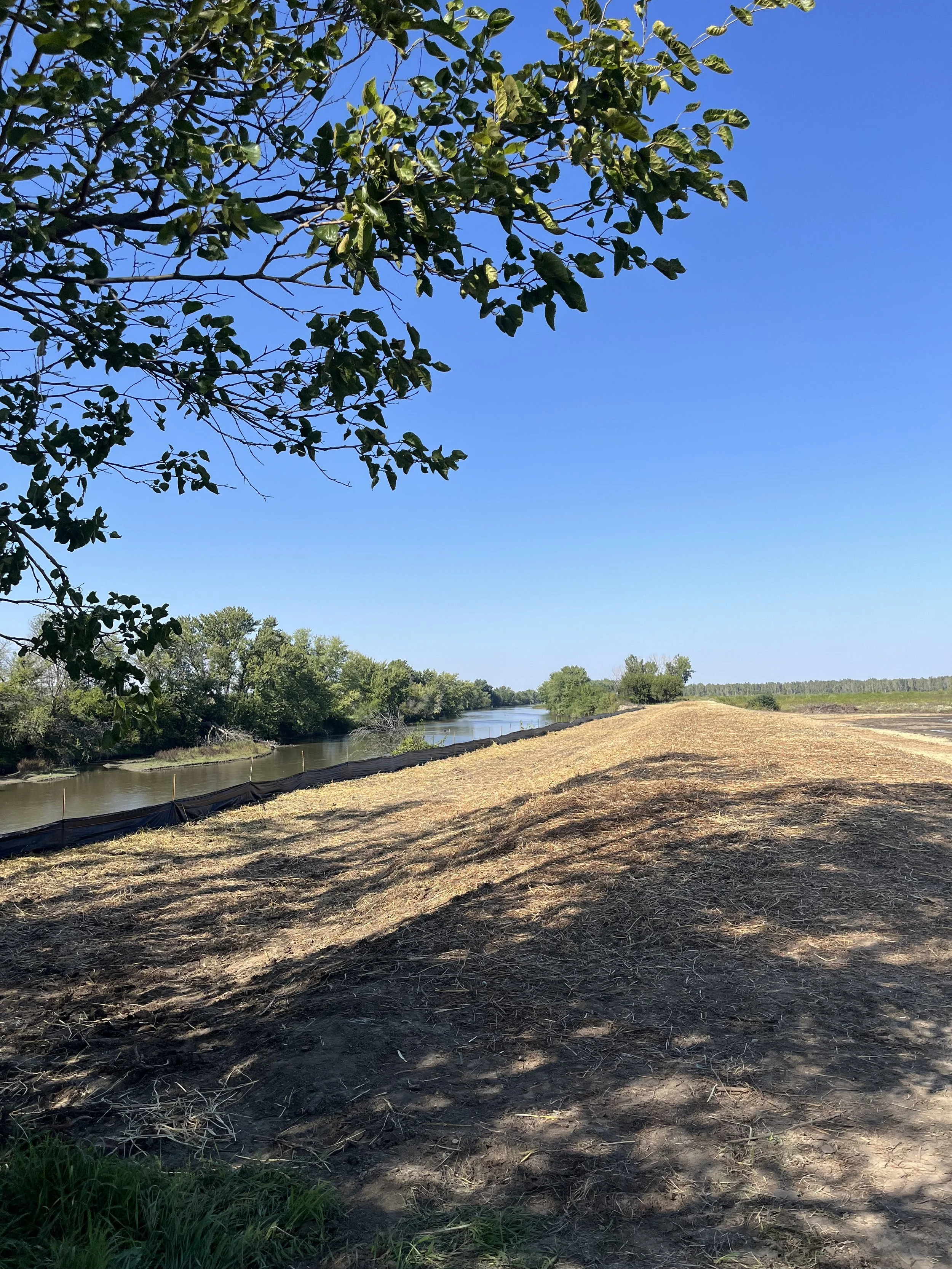 A landscape of a river with trees along the bank, a cleared area with dirt and dry grass, and a blue sky with some clouds.