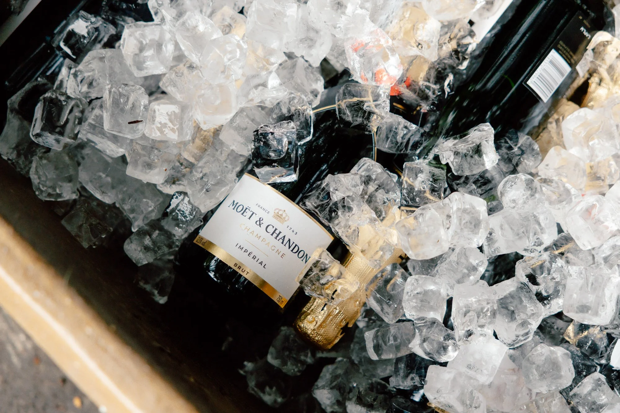 Champagne bottles chilled in garden planters for the wedding