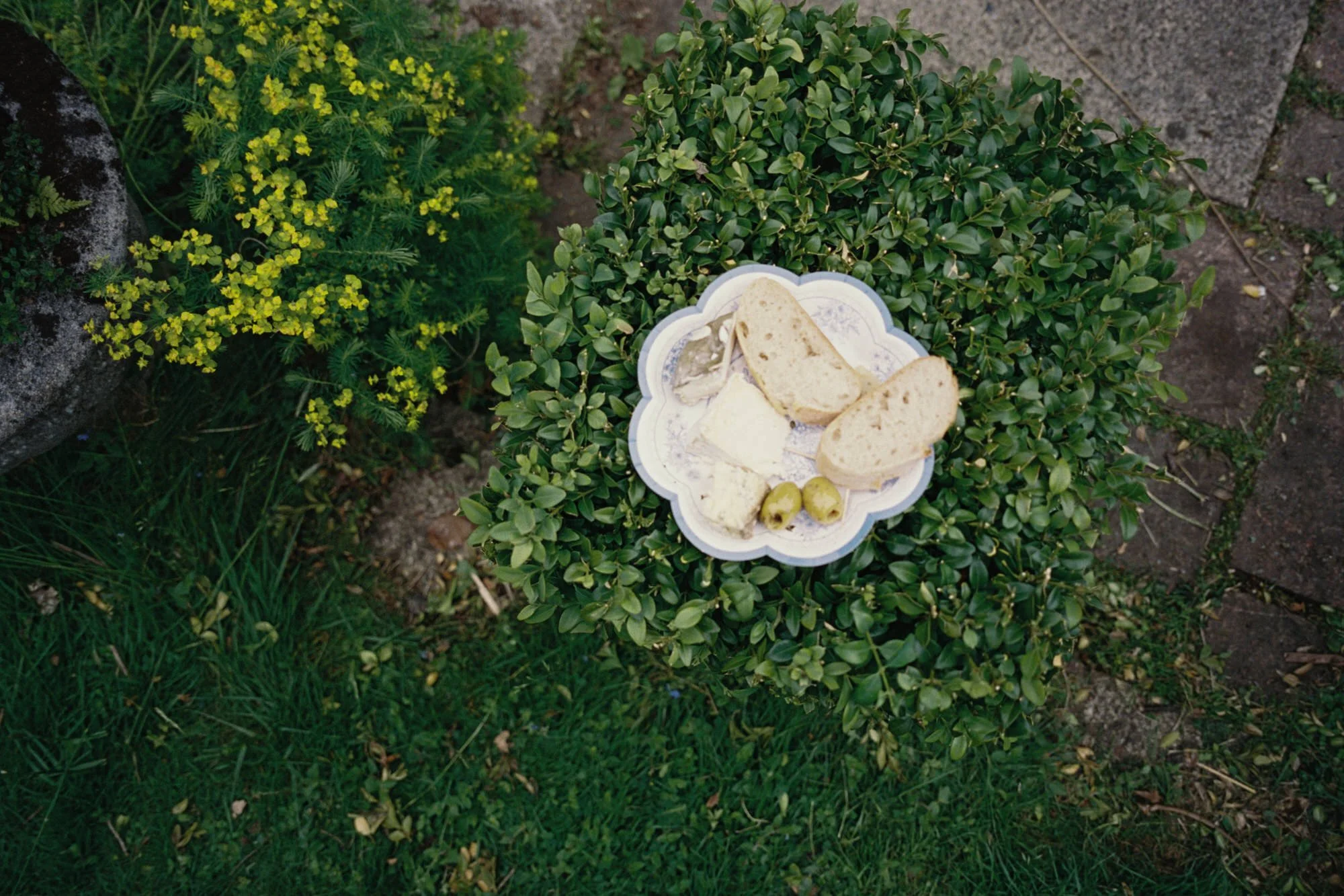 Textured film portrait from Alessandro and Mara’s Morningside wedding