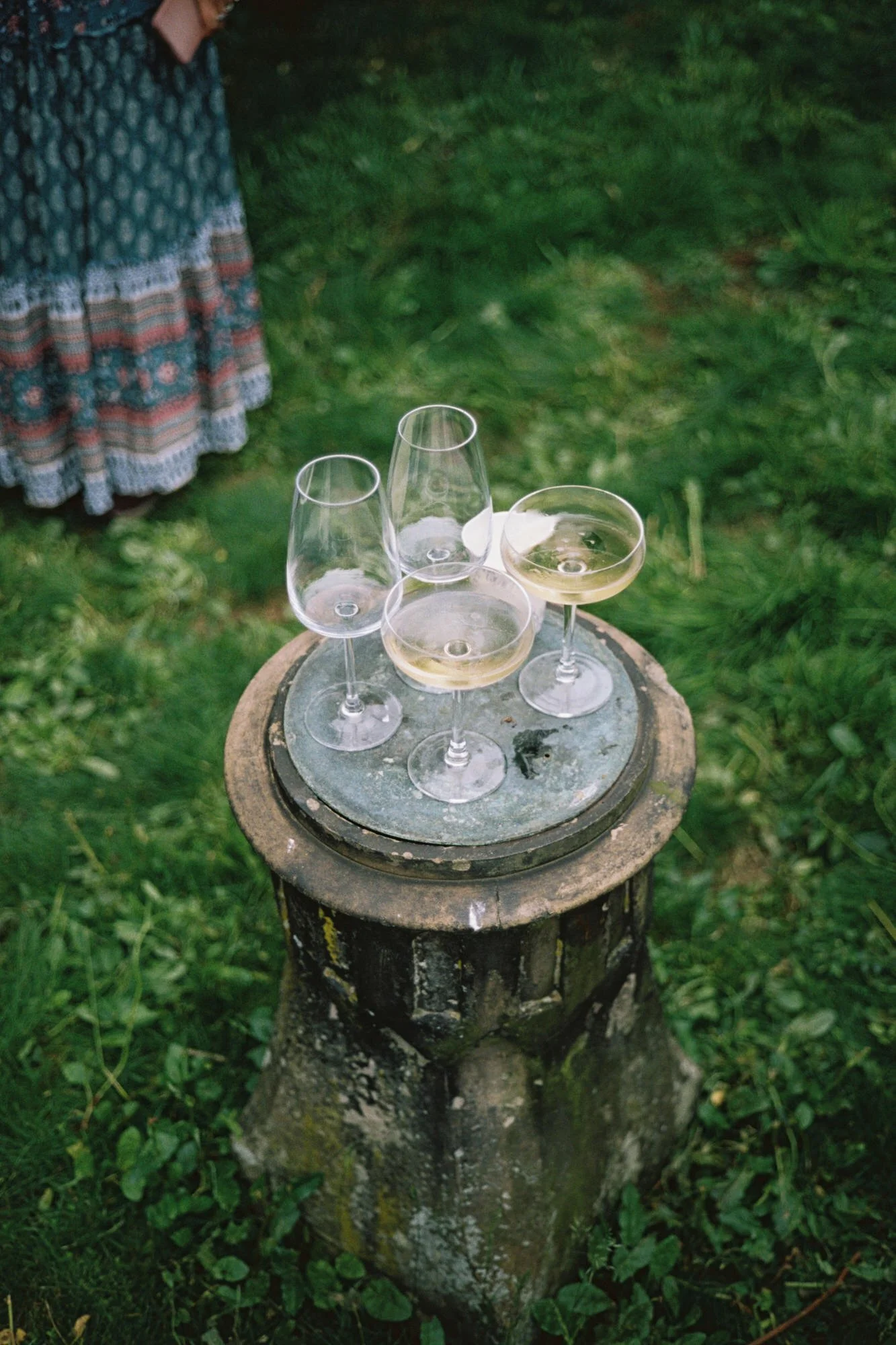 Friends and family photographed on film during the garden celebration