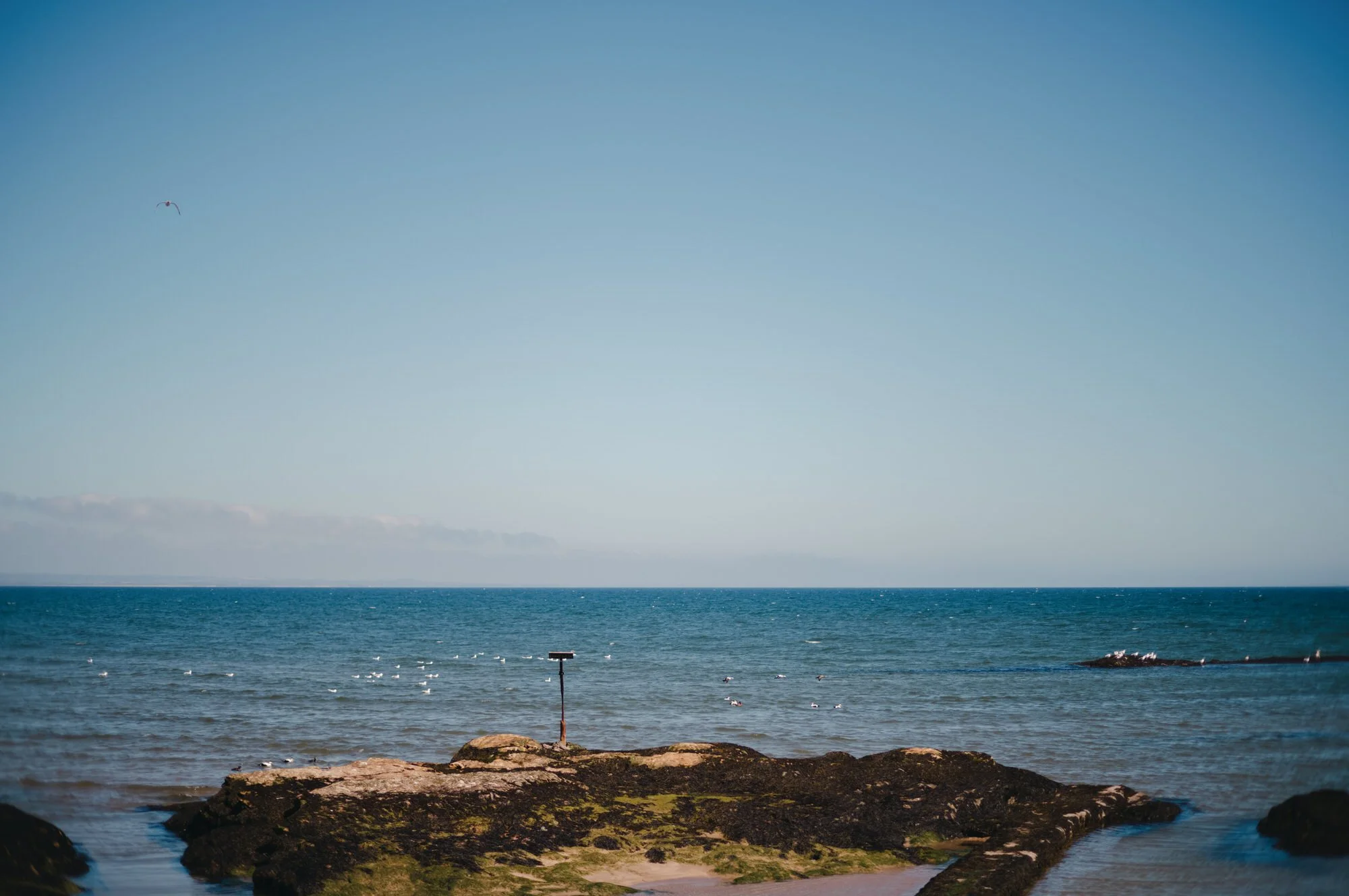 View across the St Andrews coastline before Hazel and Ally’s intimate wedding