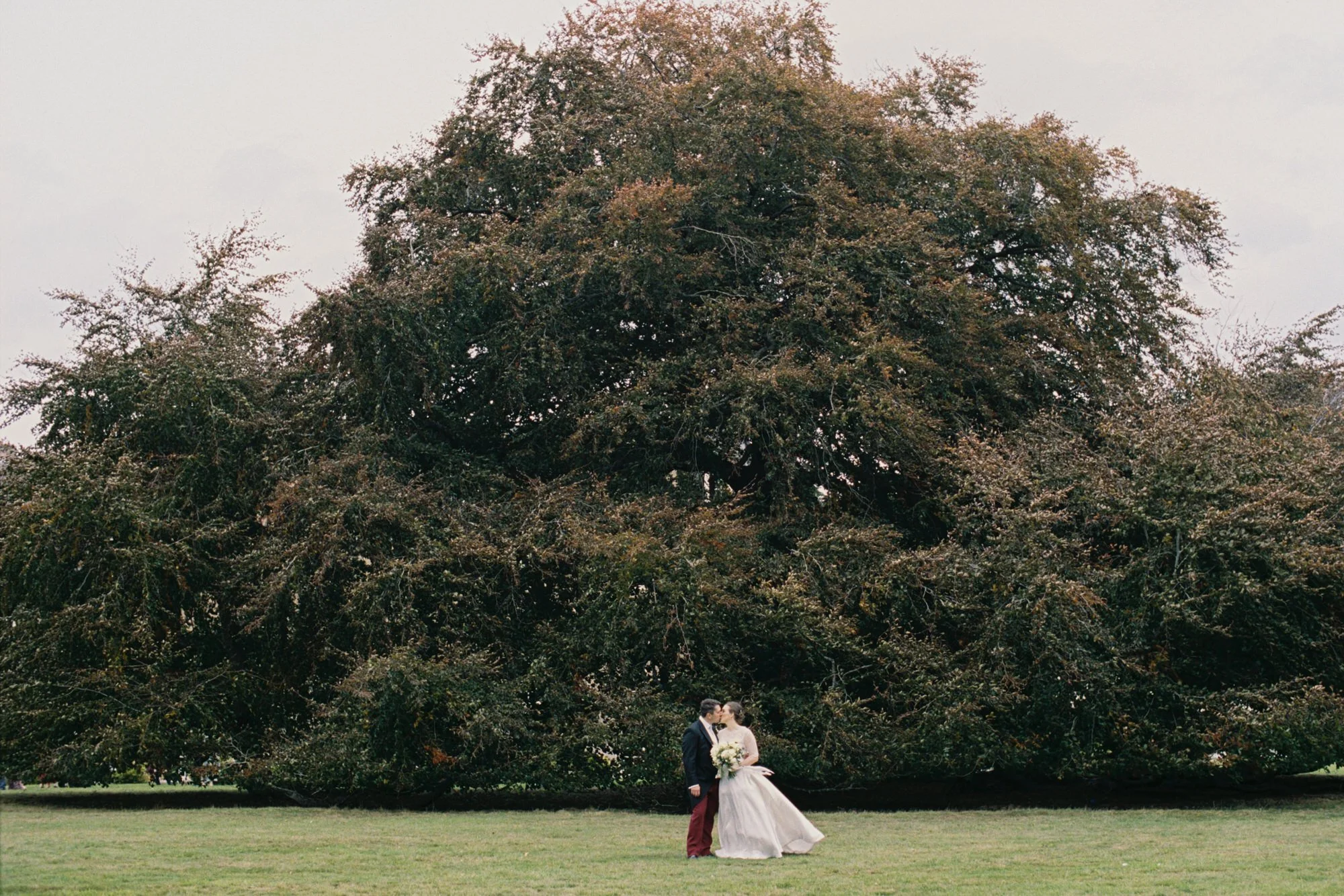 couple-beneath-copper-beech-at-carberry-tower.jpg