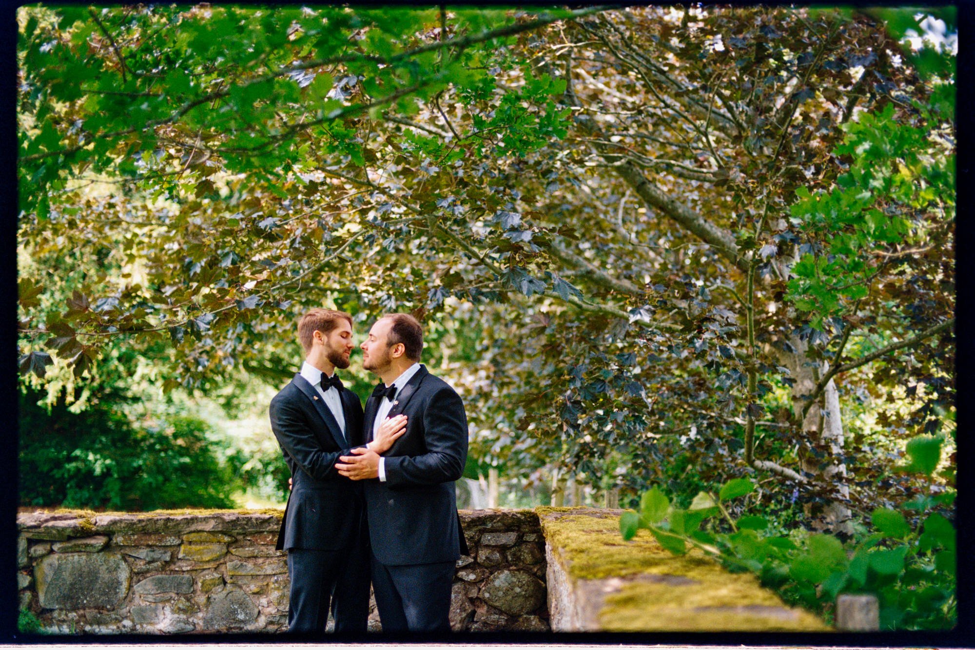 The grooms kissing beneath leafy branches in the grounds of Thirlestane Castle.