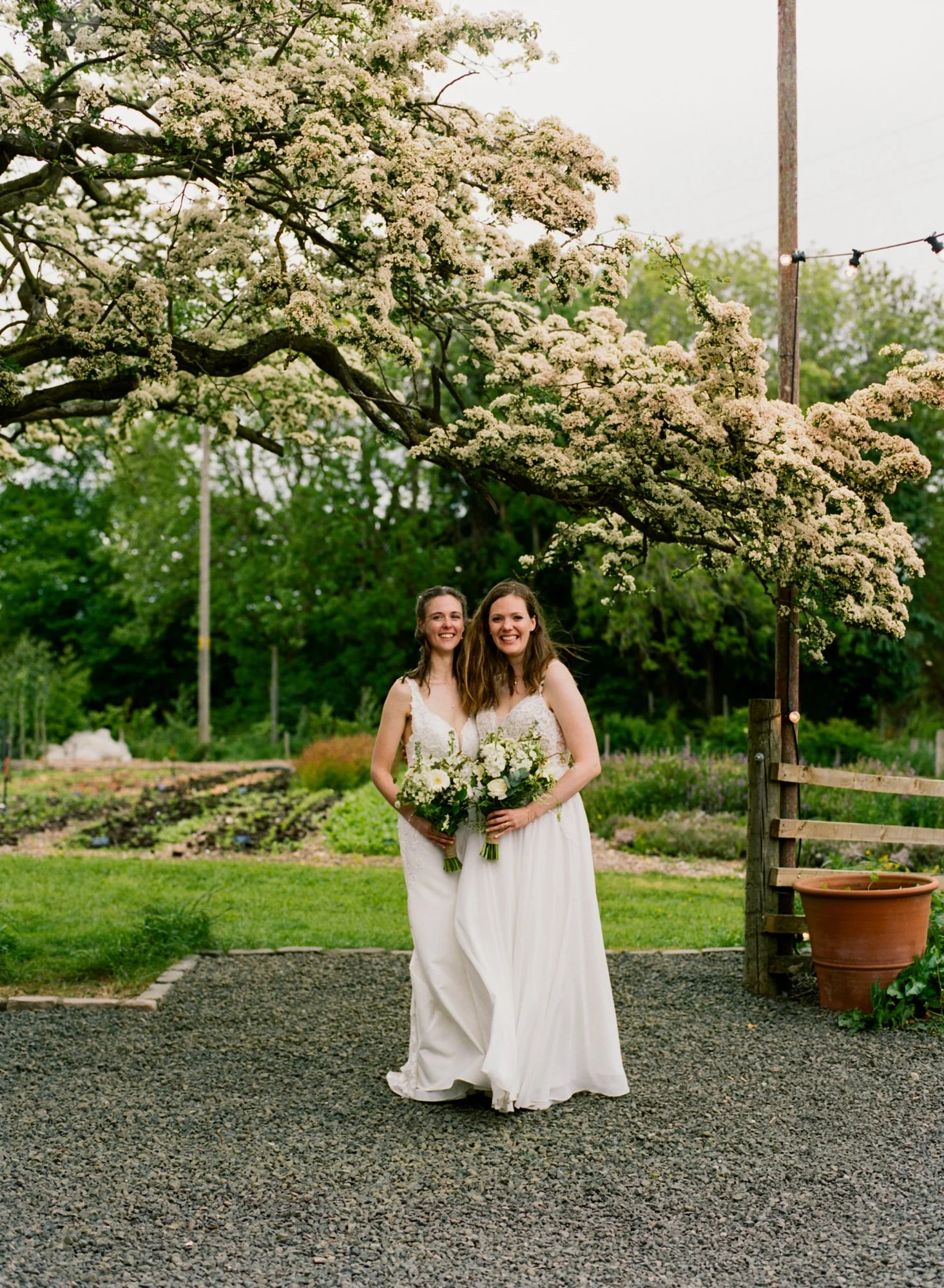 A portrait of the brides beneath a flowering tree