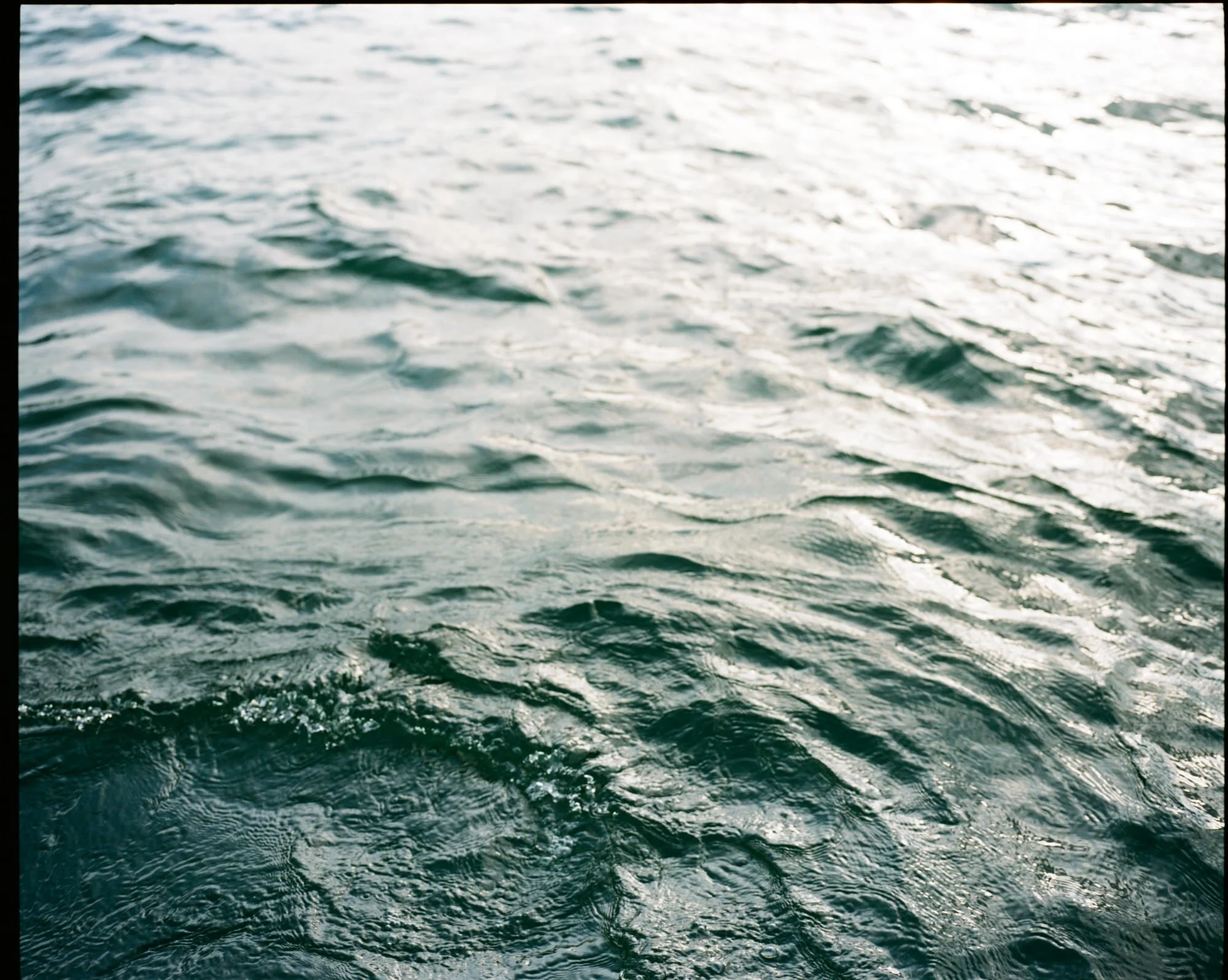 Ripples on the surface of the lake