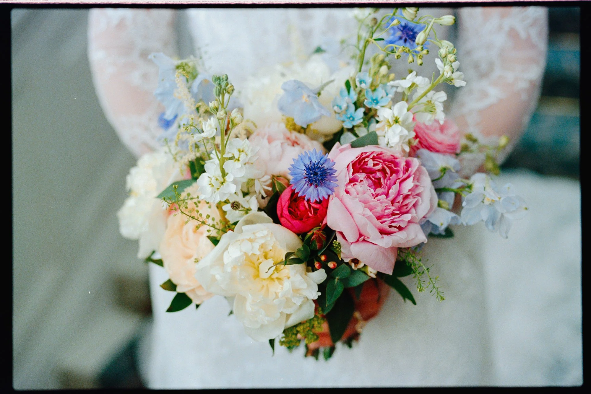 A bouquet of pink, white, blue, and purple flowers, including roses and other blooms, with green foliage. Photographed by Steven William Weir, Edinburgh Scotland.