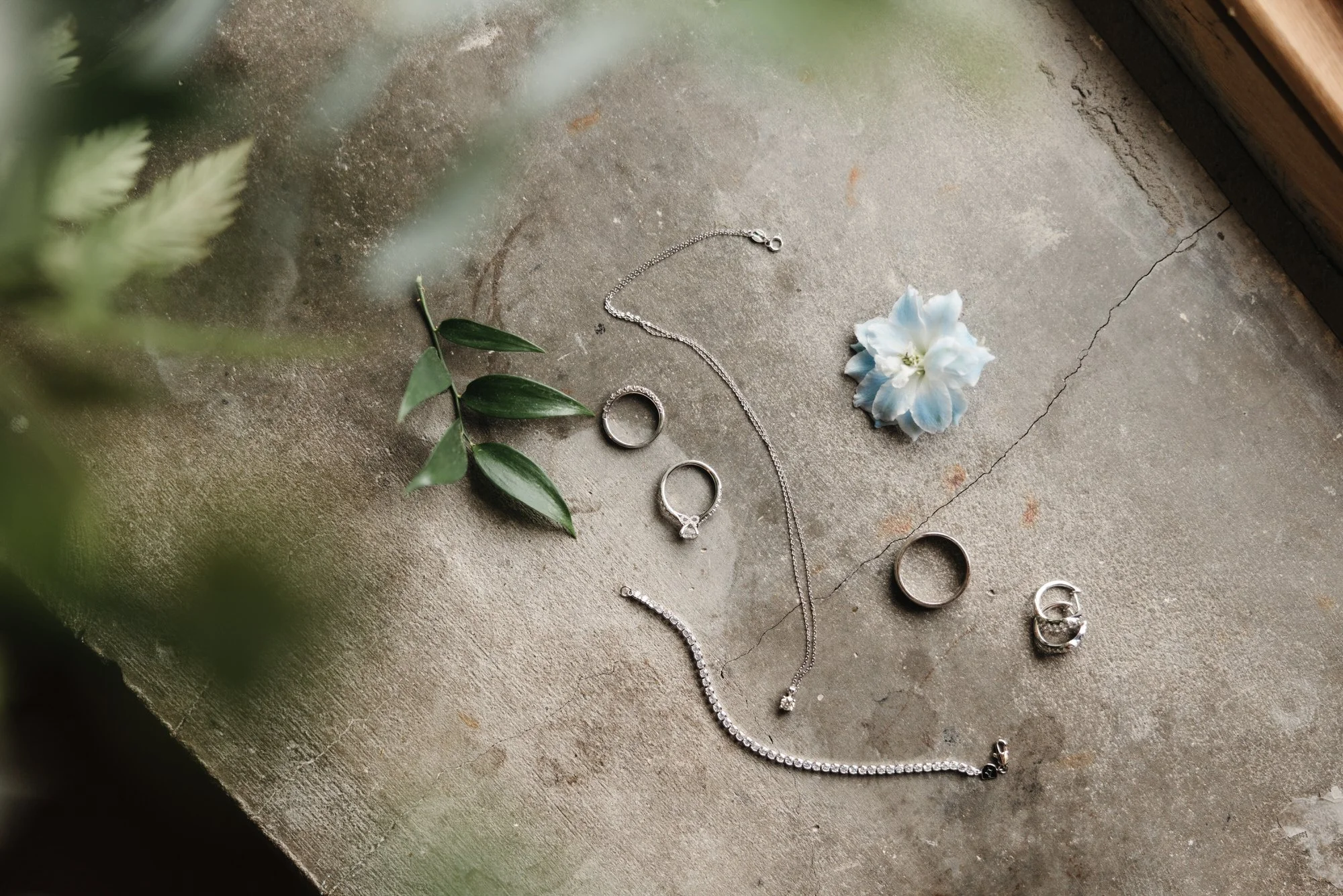 Silver jewelry including rings, necklaces, and a bracelet laid out on a concrete surface with a blue and white flower and green leaves.
