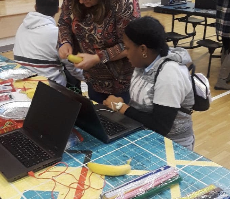 PROFESSIONAL LEARNING SYSTEMS