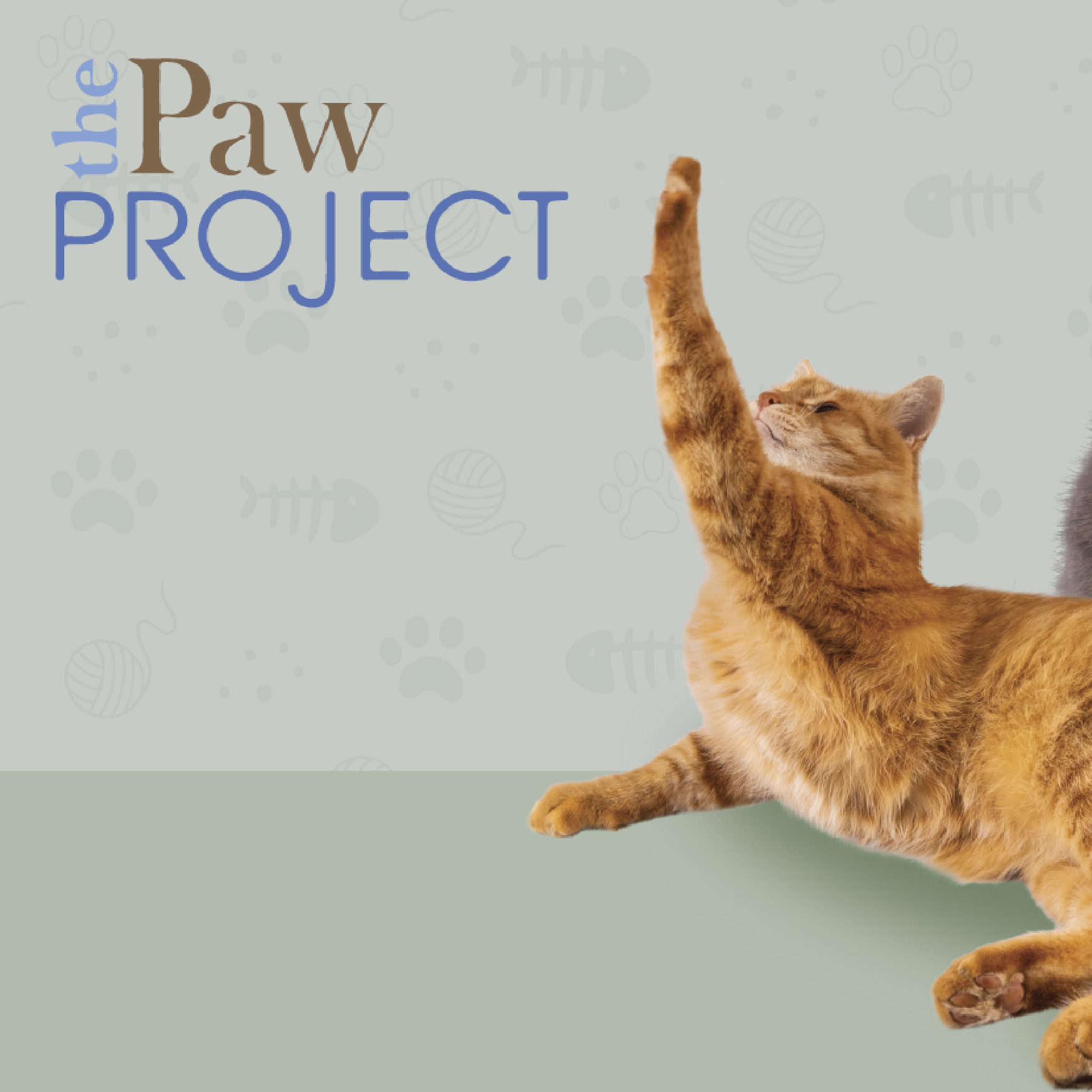 The Paw Project