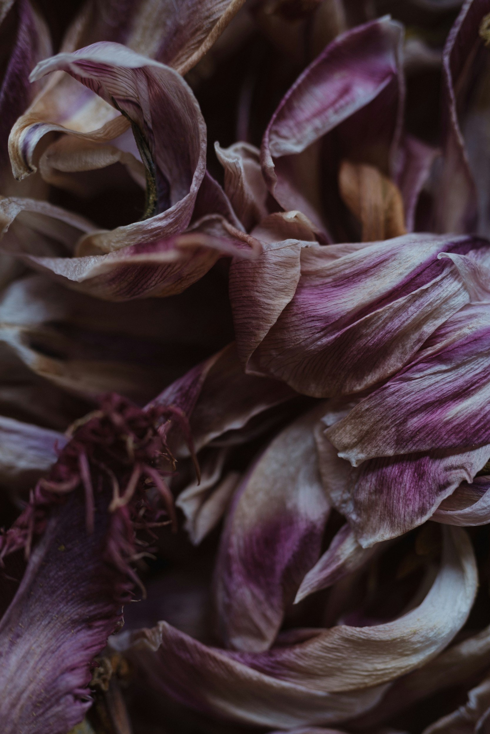 unsplash-image-_0o8EKoAWx0.jpg