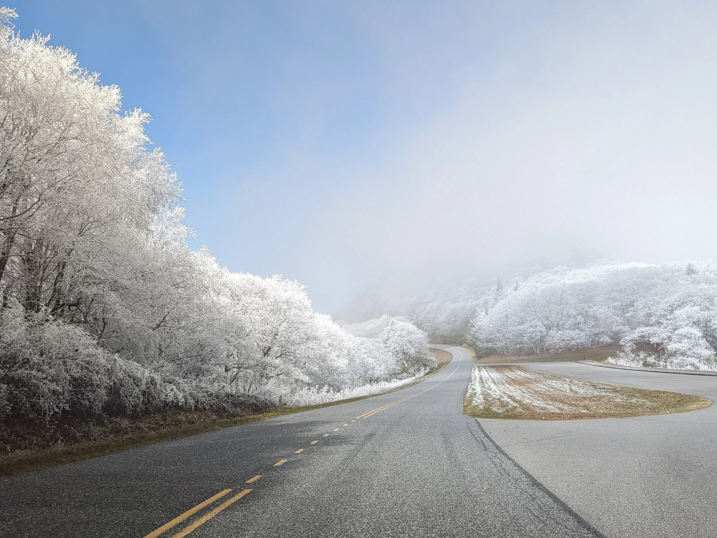 PXL_20221113_165348482~2 (1).jpg