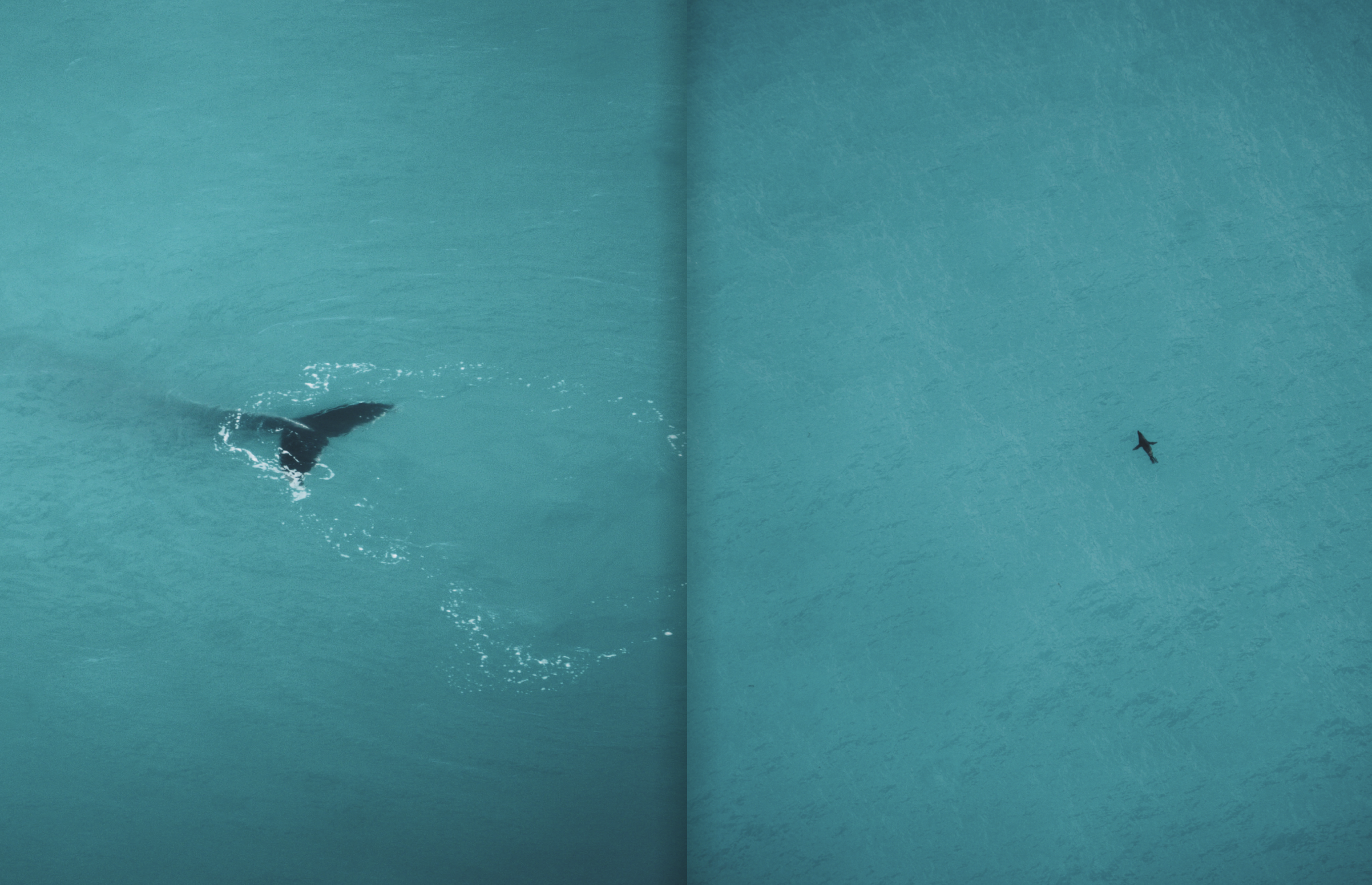 Screenshot 2024-12-06 at 11.36.00 AM.png