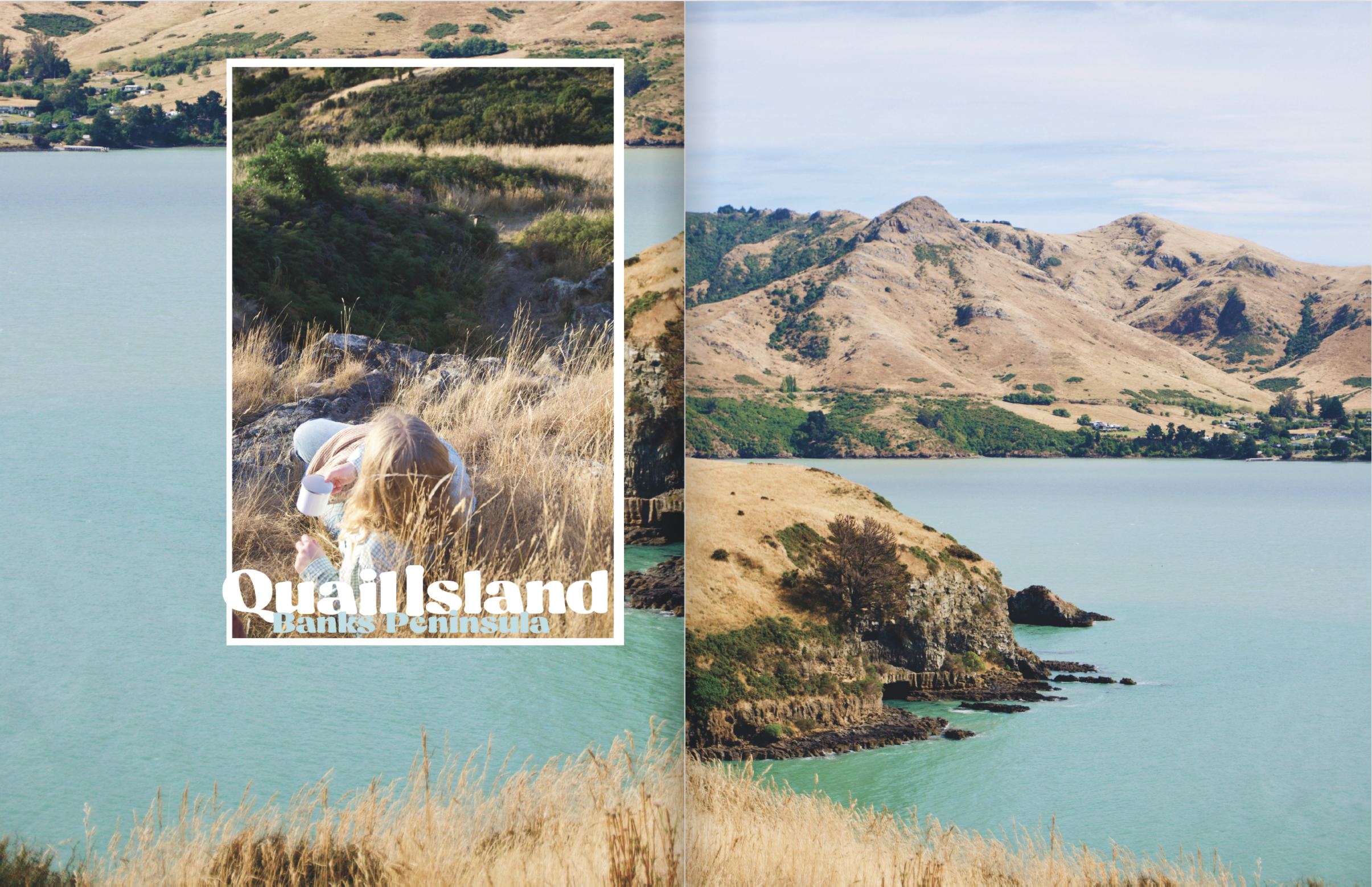 Screenshot 2024-12-06 at 11.29.19 AM.png