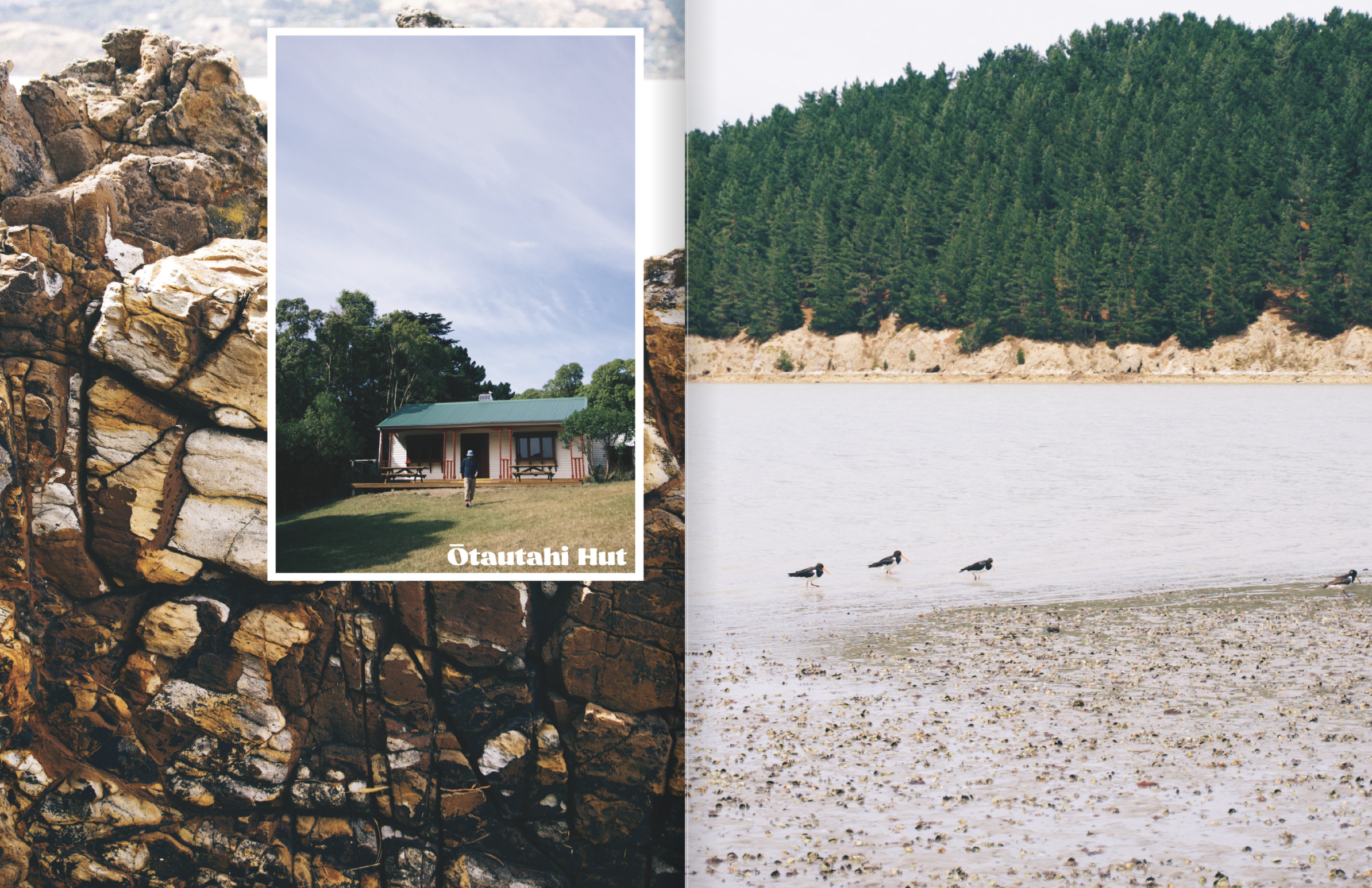 Screenshot 2024-12-06 at 11.29.30 AM.png