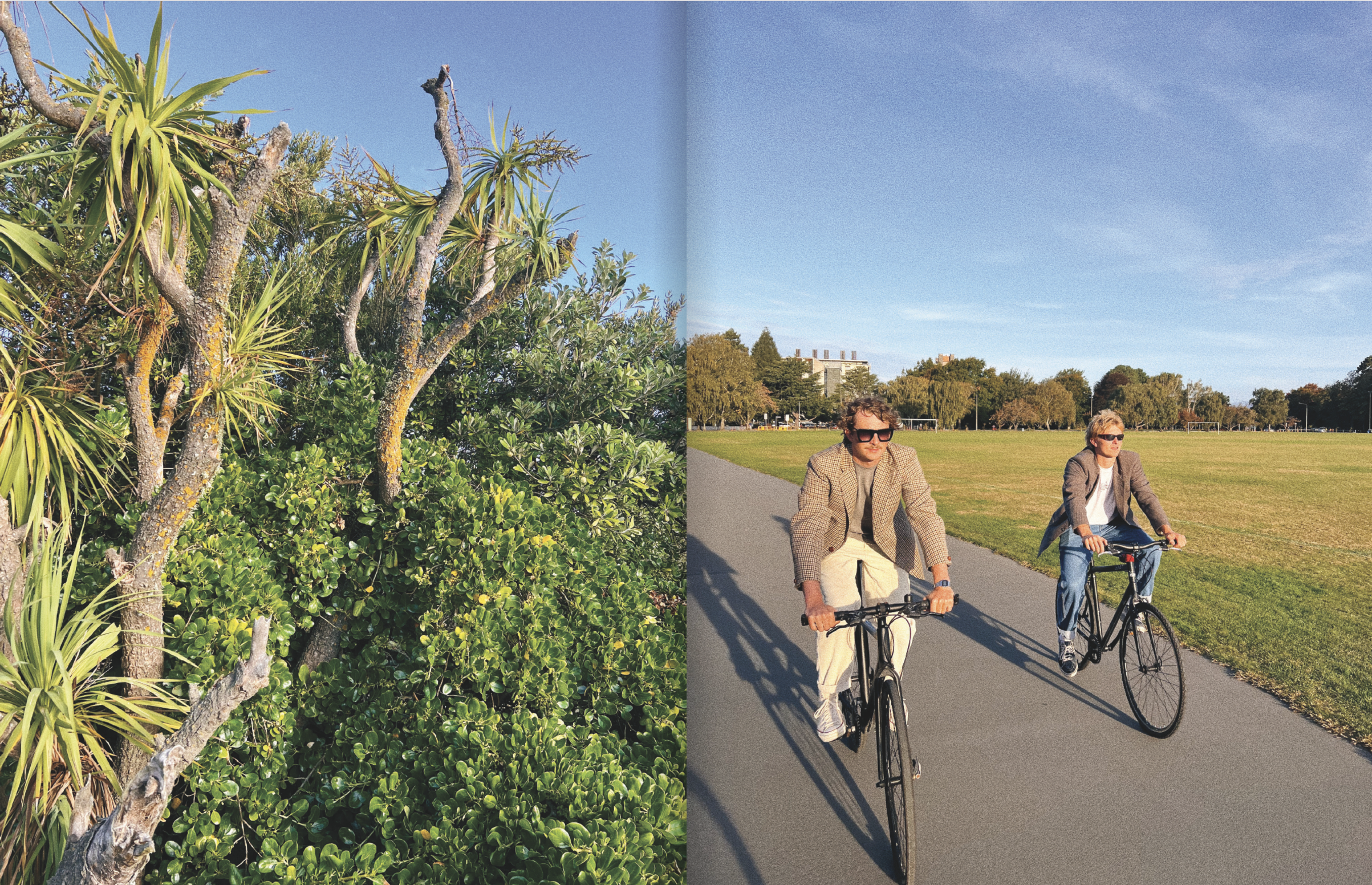 Screenshot 2024-12-06 at 11.30.13 AM.png