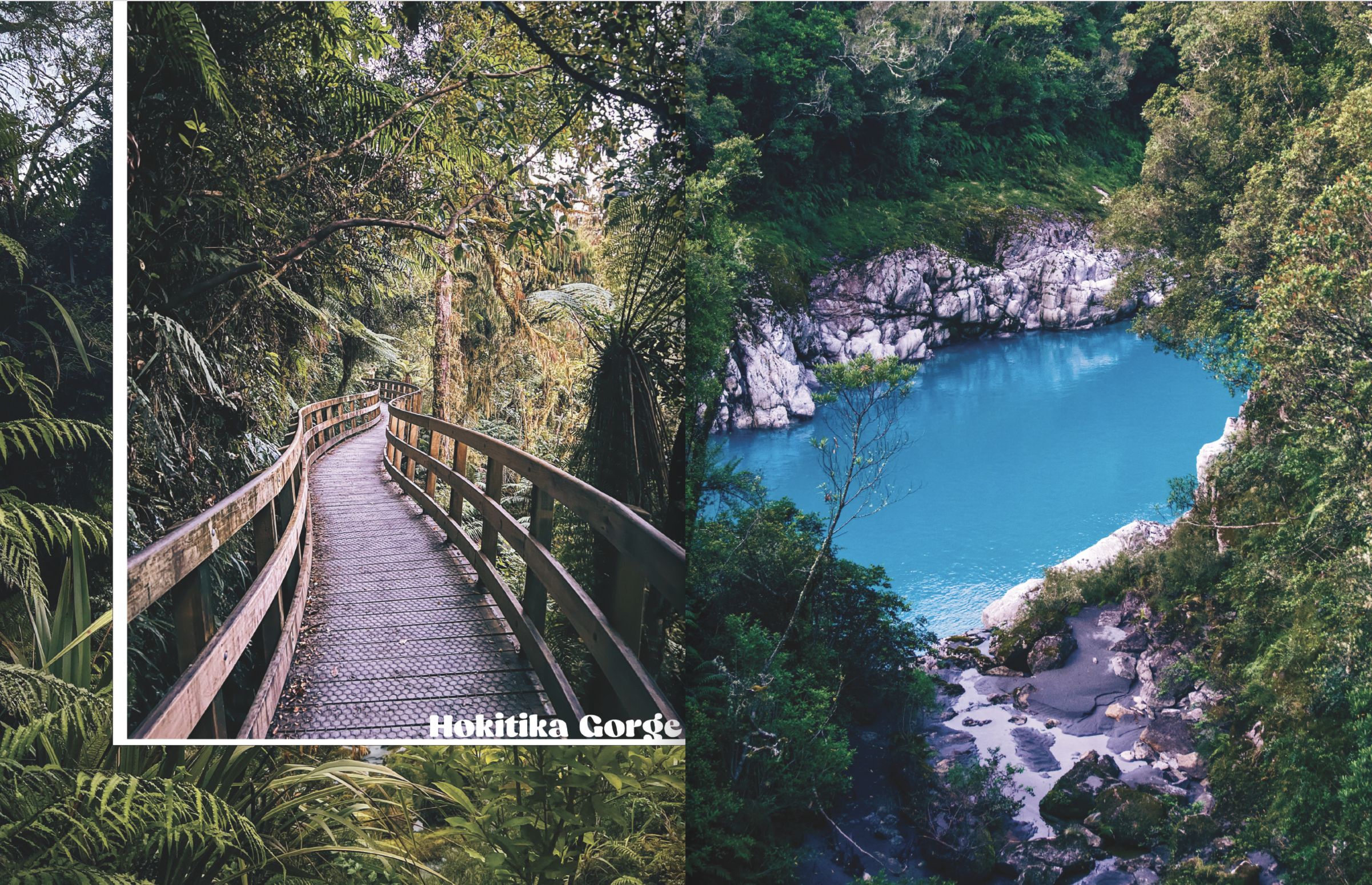 Screenshot 2024-12-06 at 11.31.23 AM.png