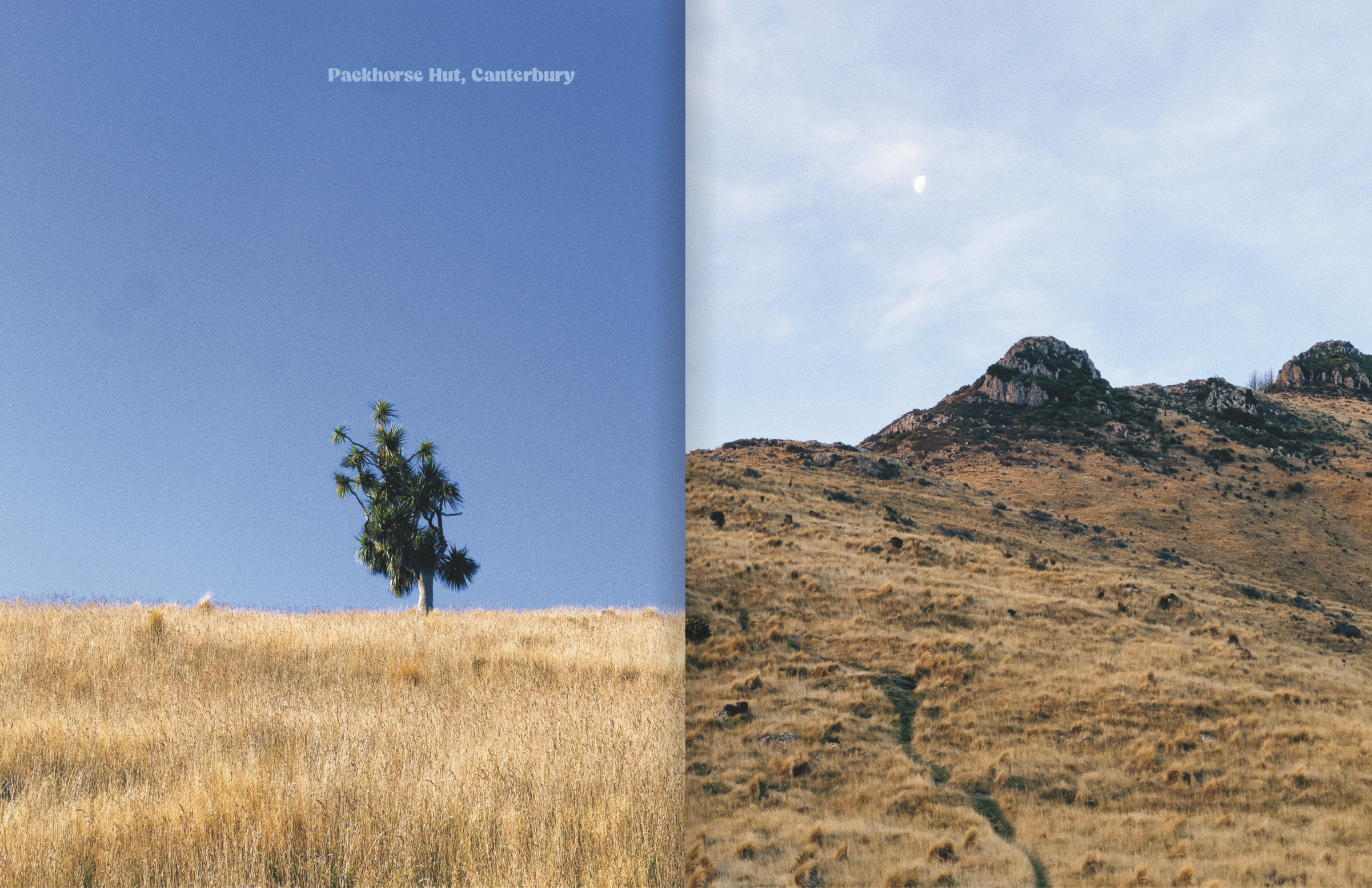 Screenshot 2024-12-06 at 11.36.09 AM.png