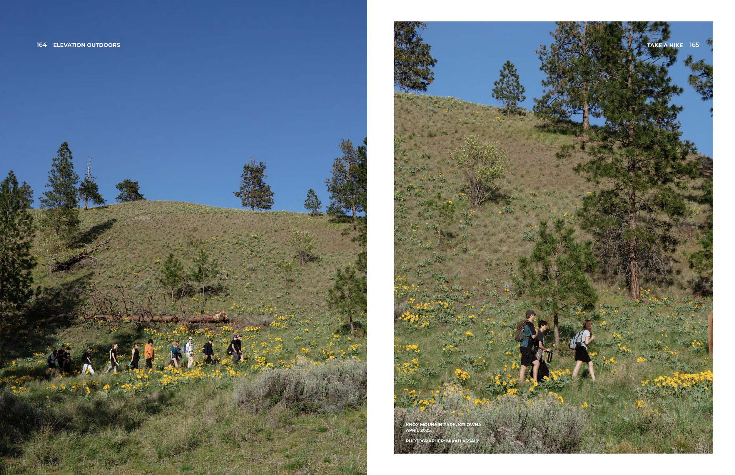 Screenshot 2026-04-14 at 6.37.40 PM.png