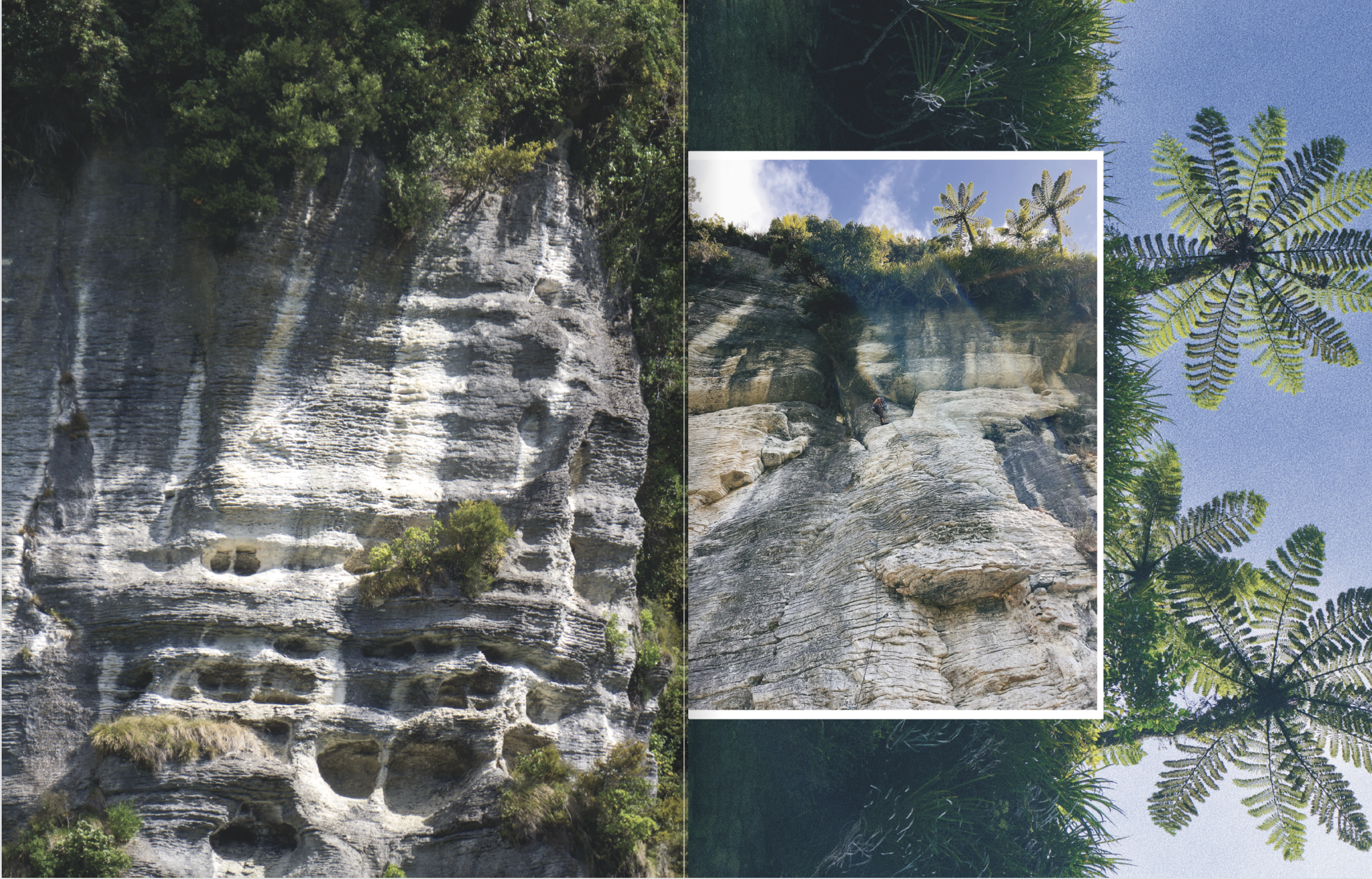 Screenshot 2024-12-06 at 11.32.14 AM.png