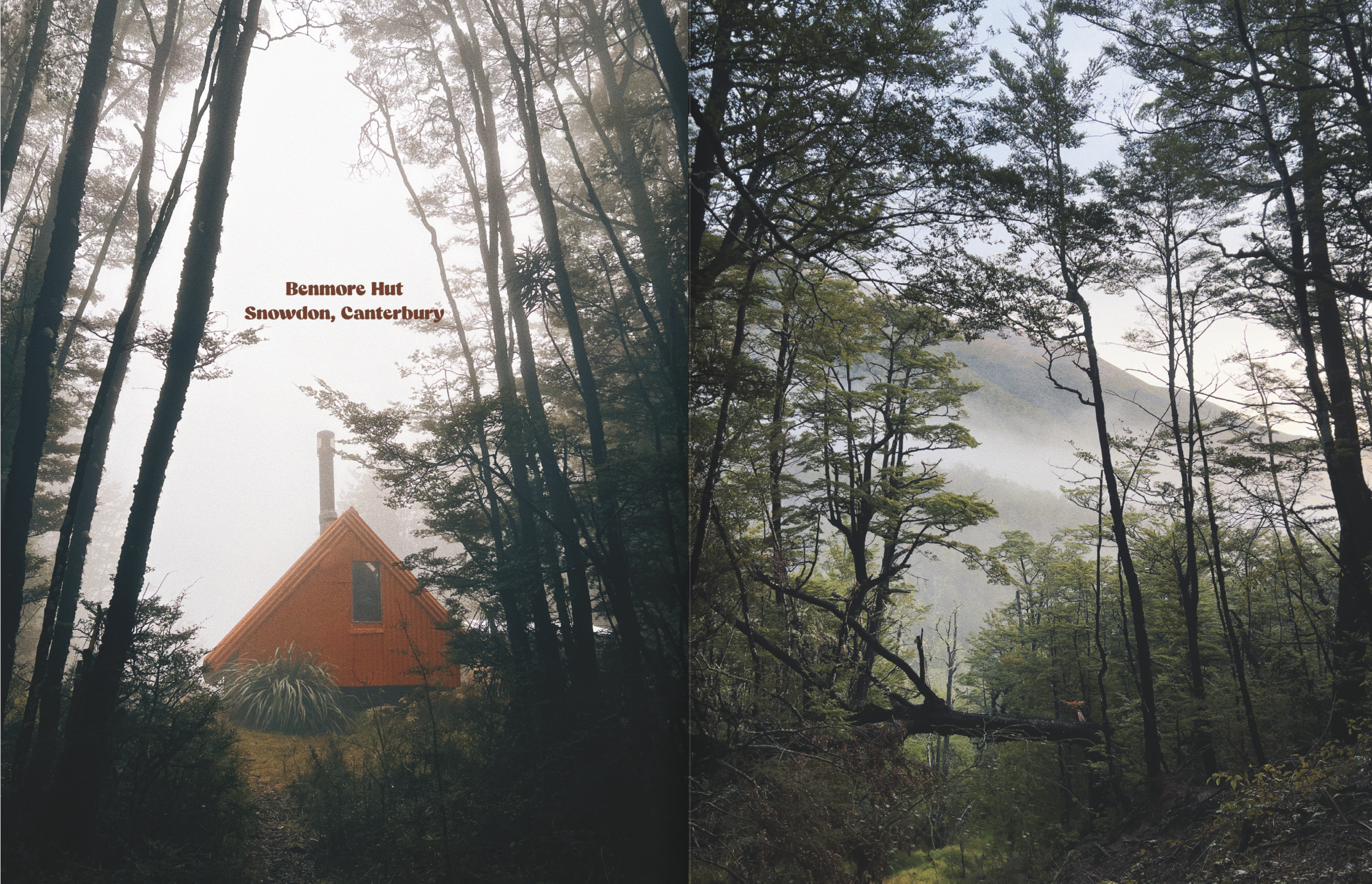 Screenshot 2024-12-06 at 11.36.19 AM.png