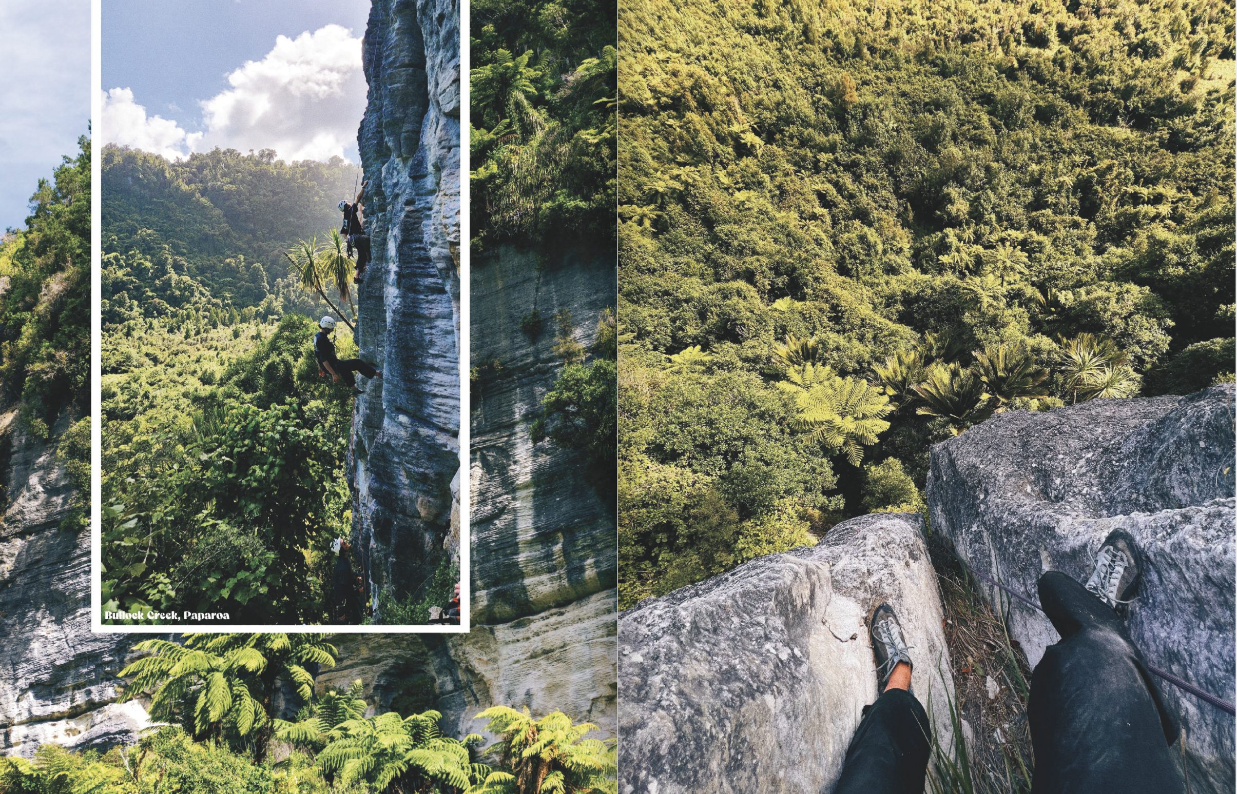 Screenshot 2024-12-06 at 11.31.42 AM.png