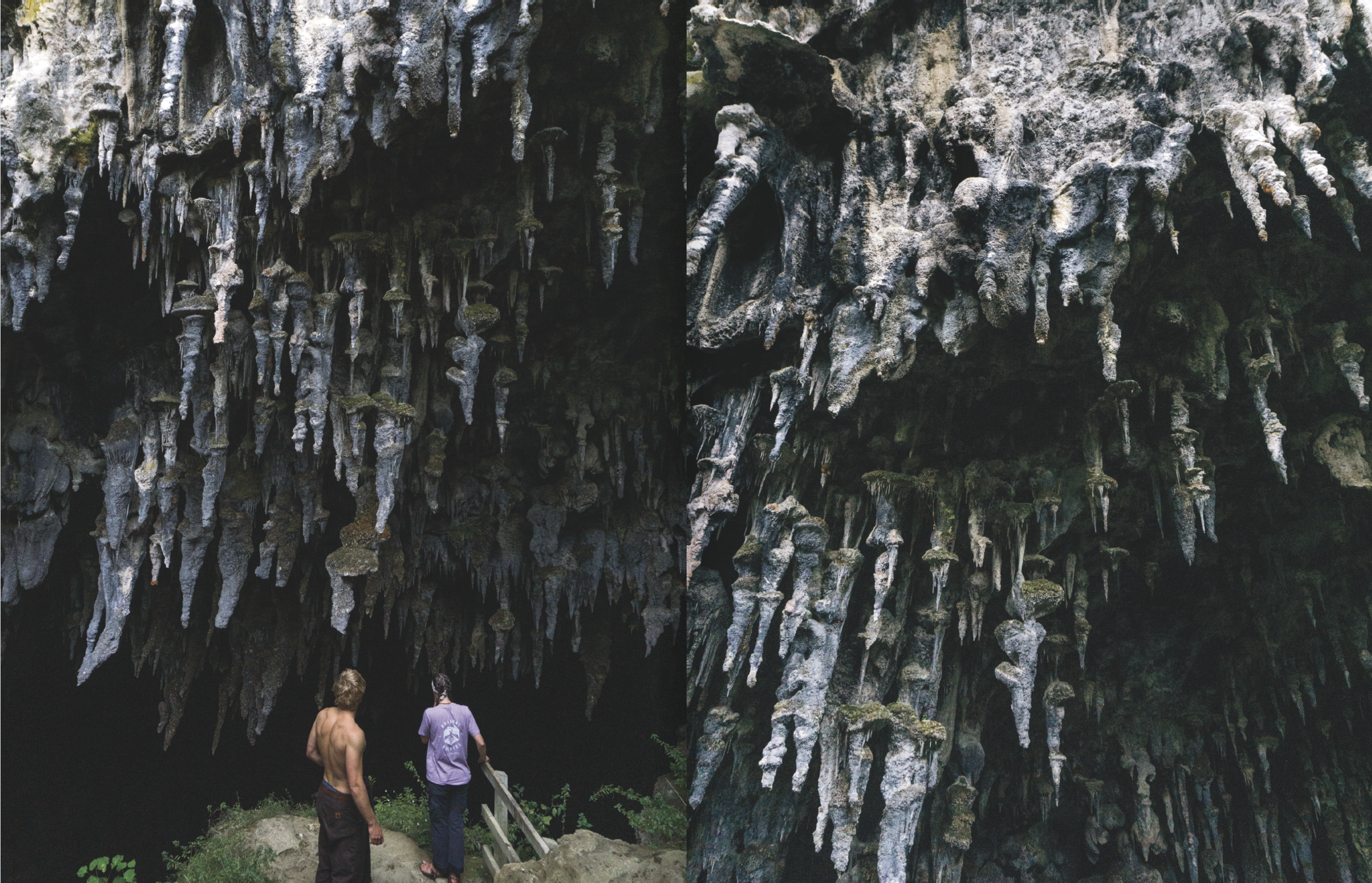 Screenshot 2024-12-06 at 11.32.36 AM.png