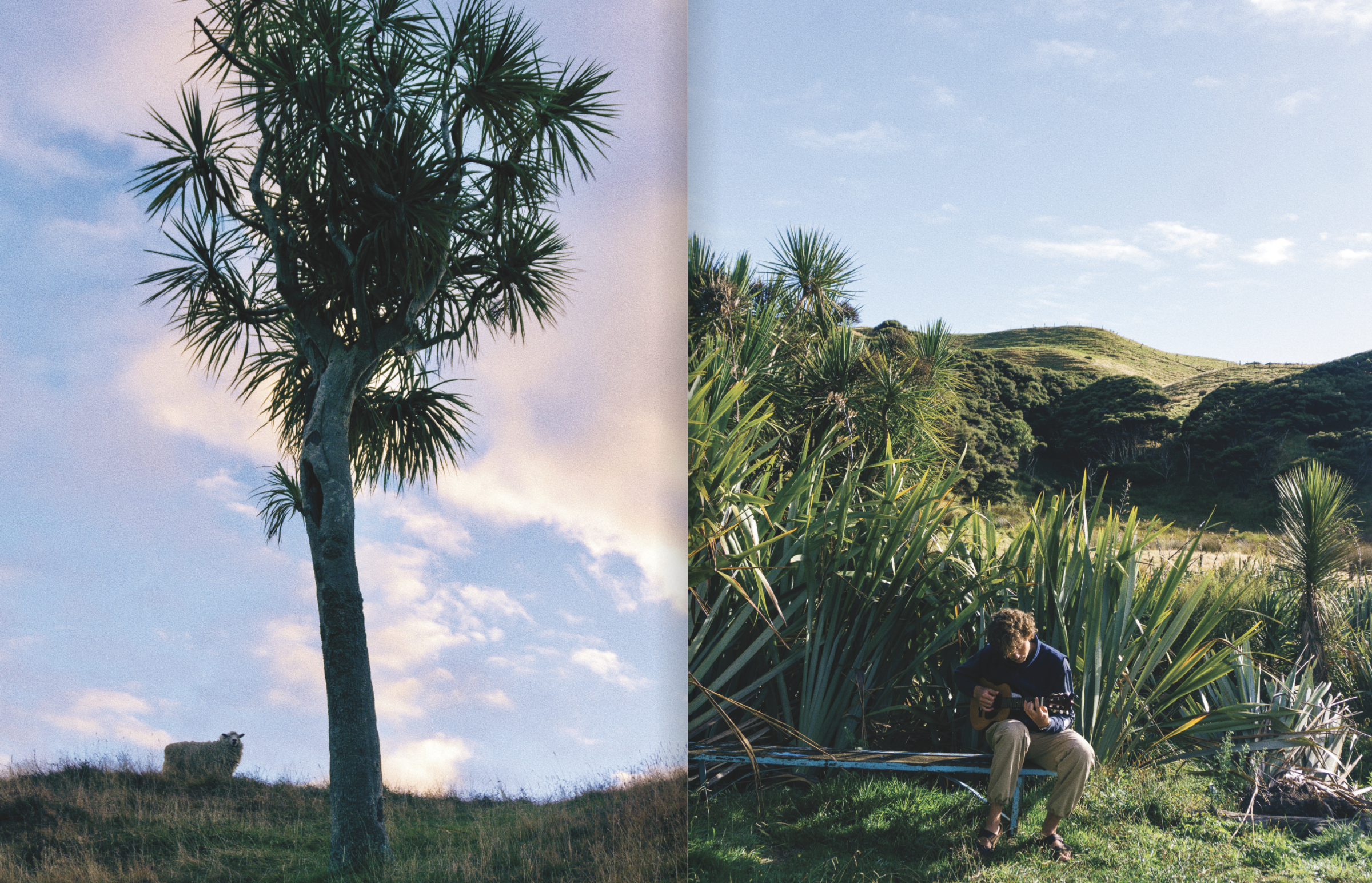 Screenshot 2024-12-06 at 11.32.59 AM.png